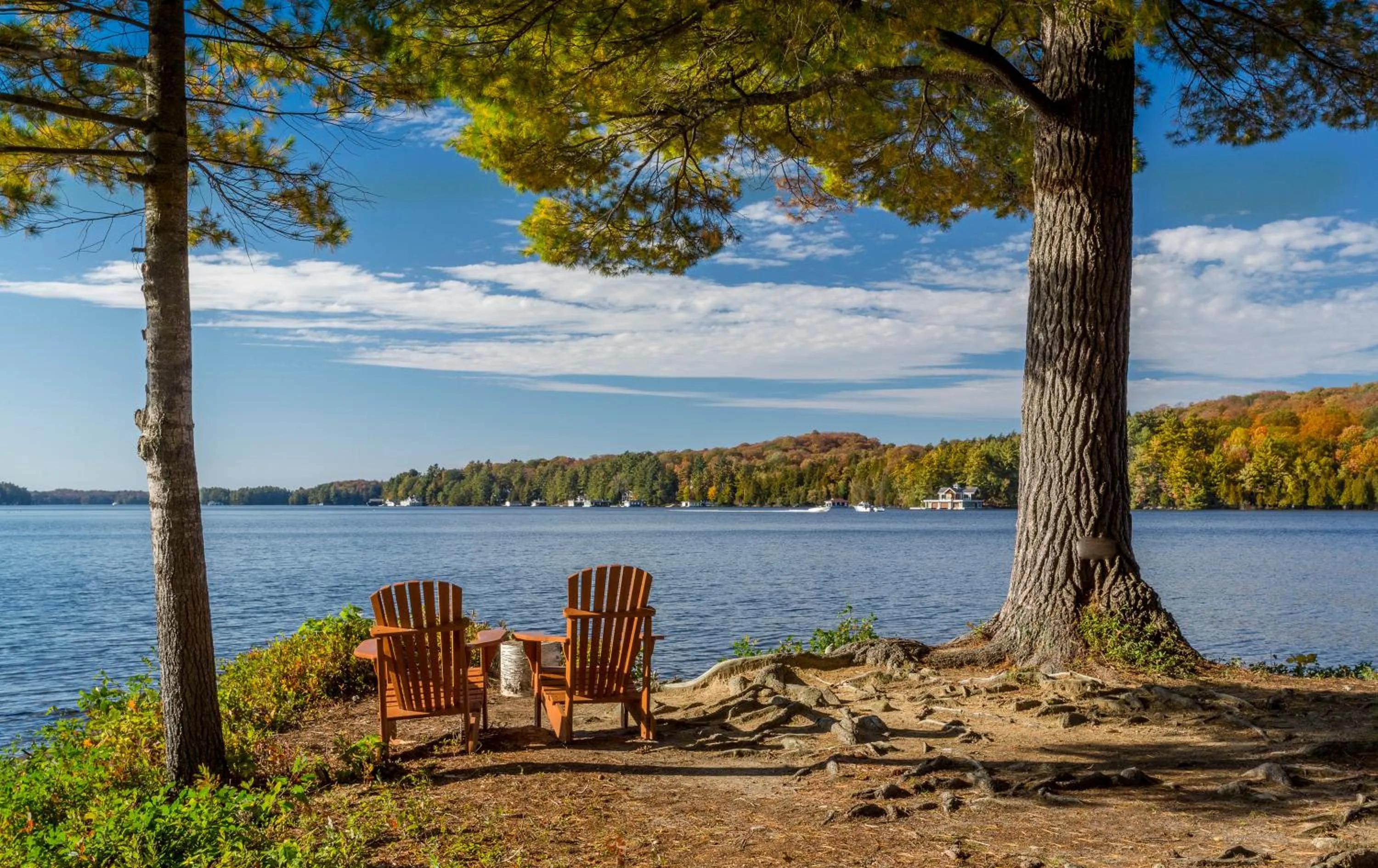 Autumn in Sherwood Inn