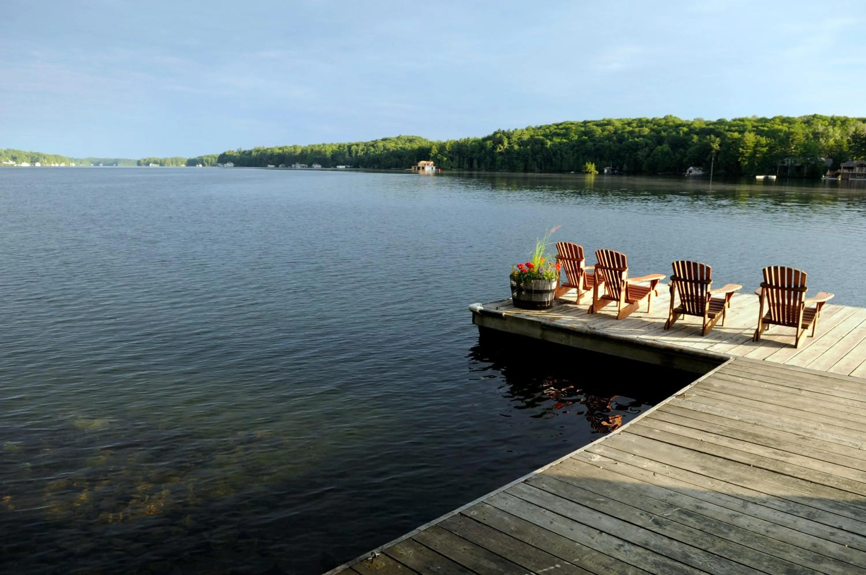 View (from property/room) in Sherwood Inn