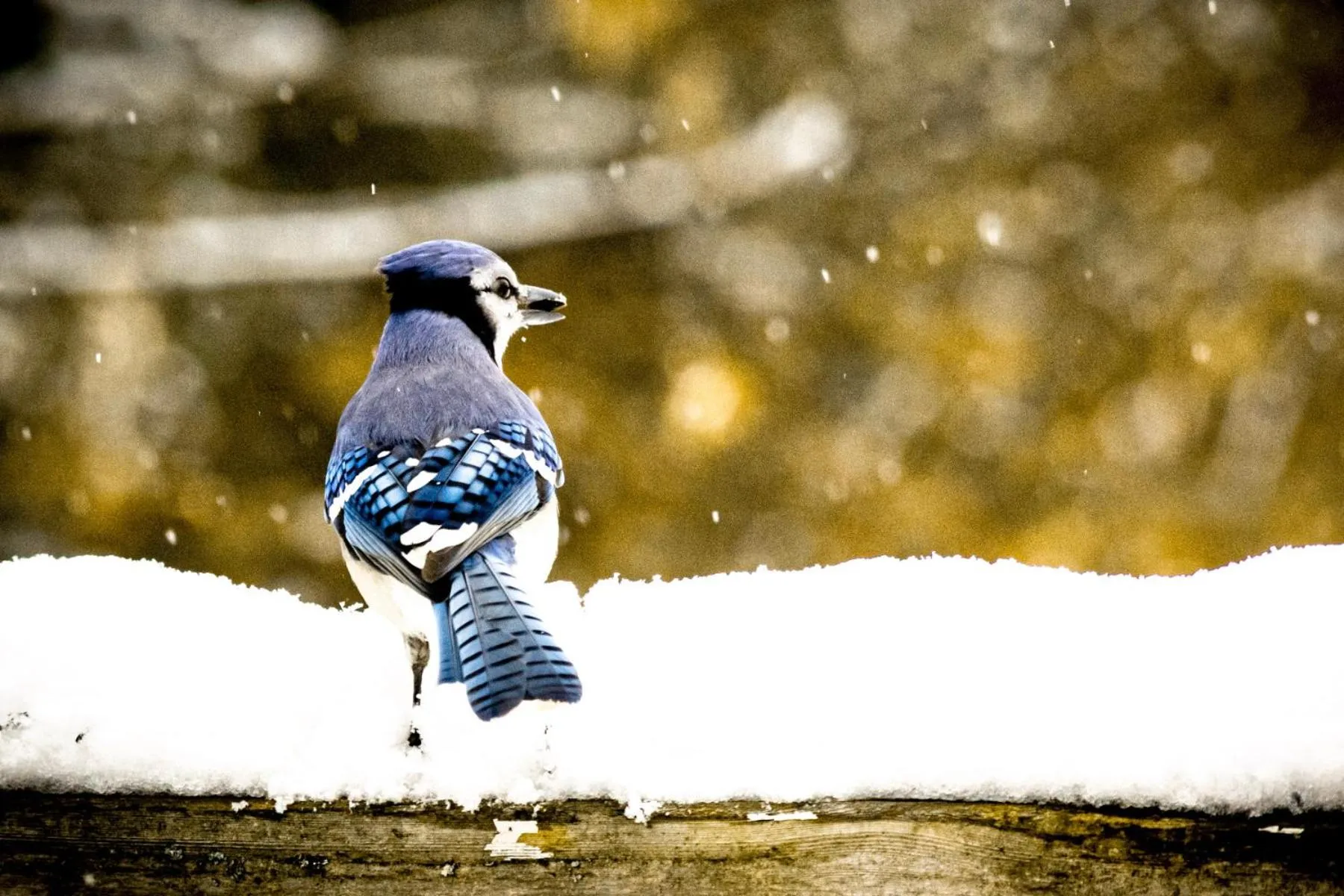 Natural landscape in Sherwood Inn