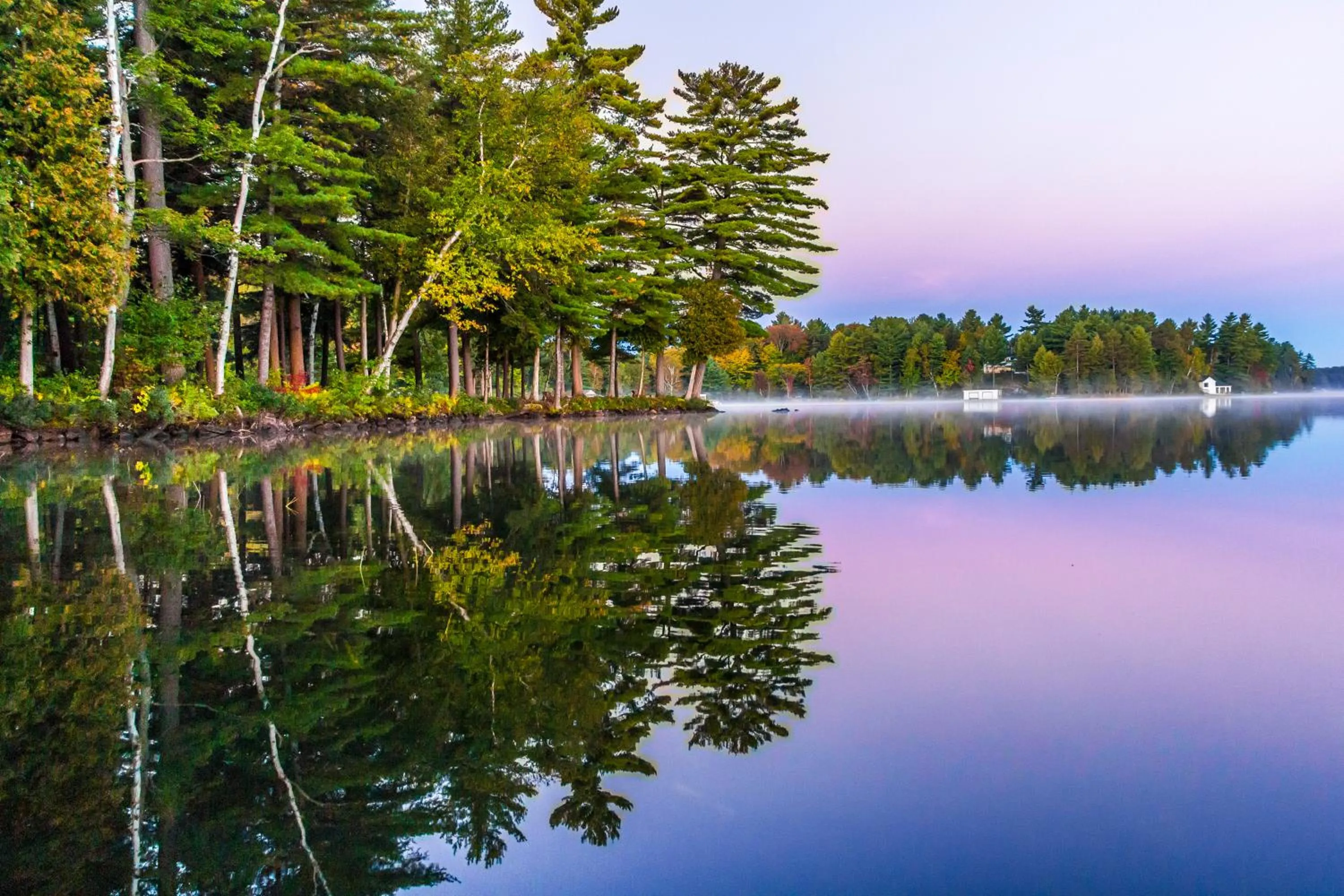 View (from property/room) in Sherwood Inn