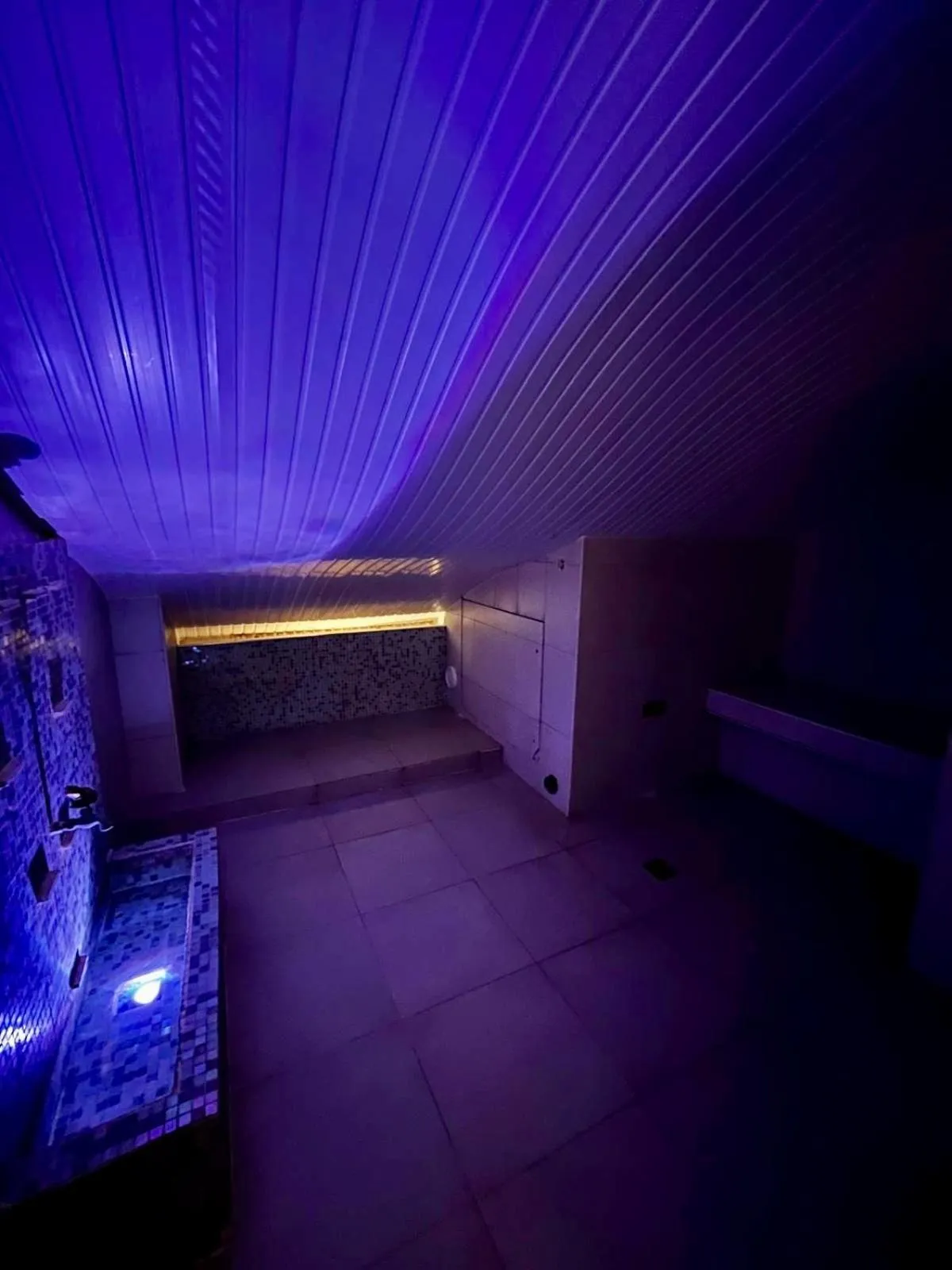 Spa and wellness centre/facilities in Le Windsor, Jungle Art Hotel