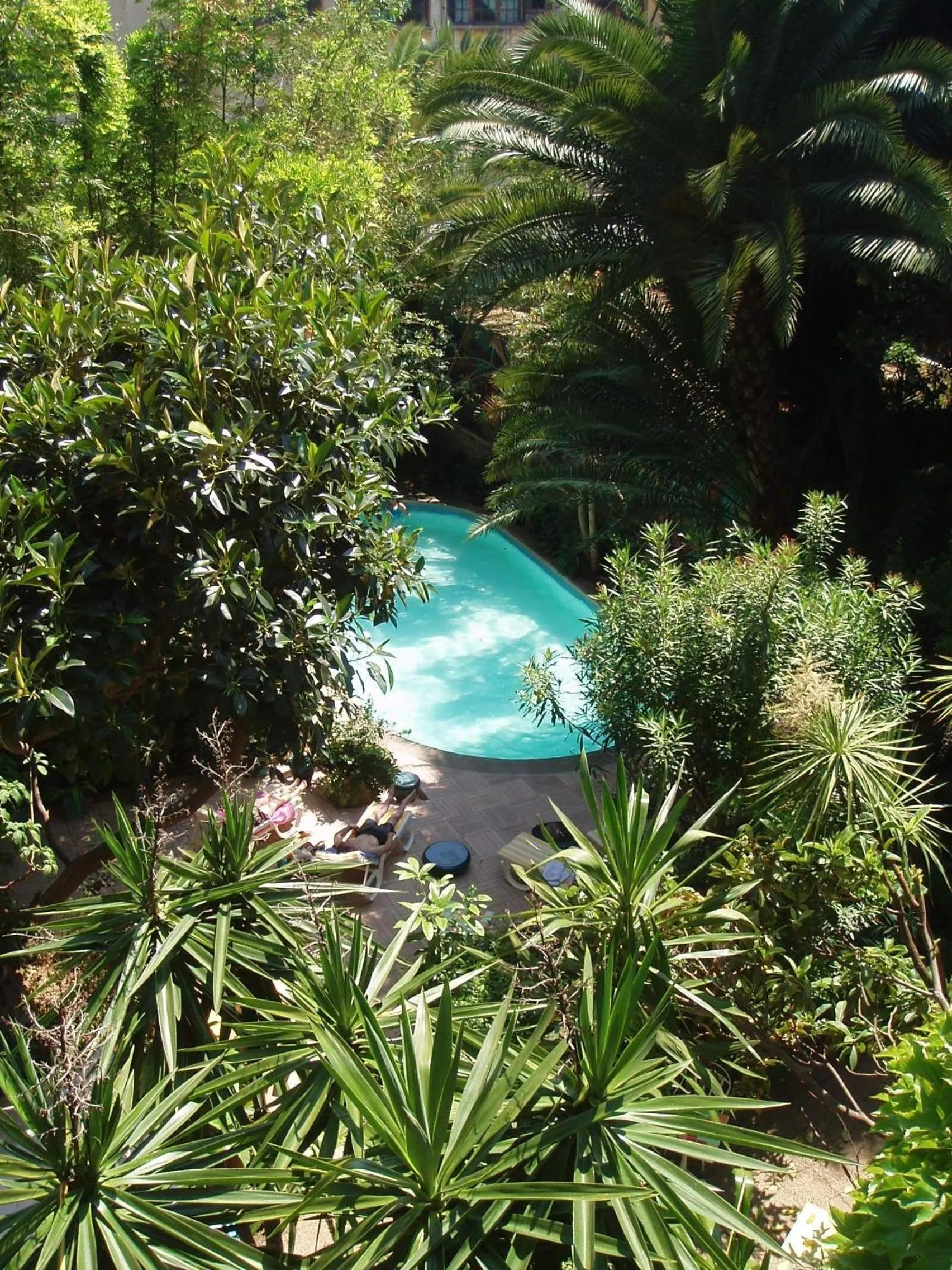 Garden in Le Windsor, Jungle Art Hotel