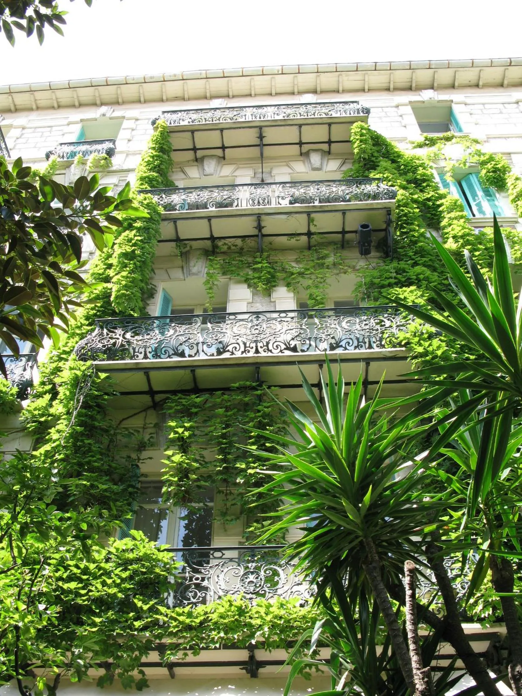 Facade/entrance in Le Windsor, Jungle Art Hotel