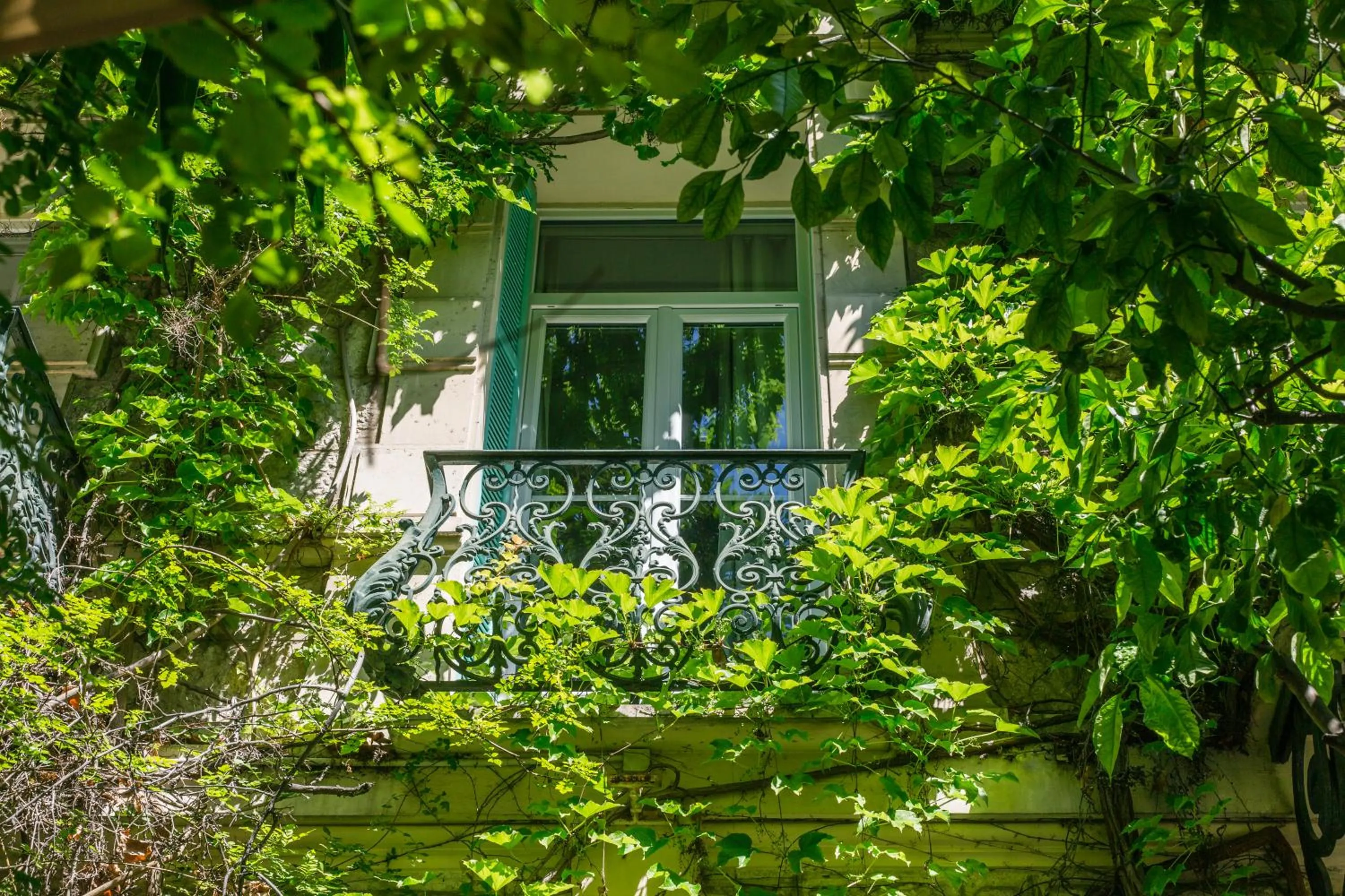 Garden in Le Windsor, Jungle Art Hotel