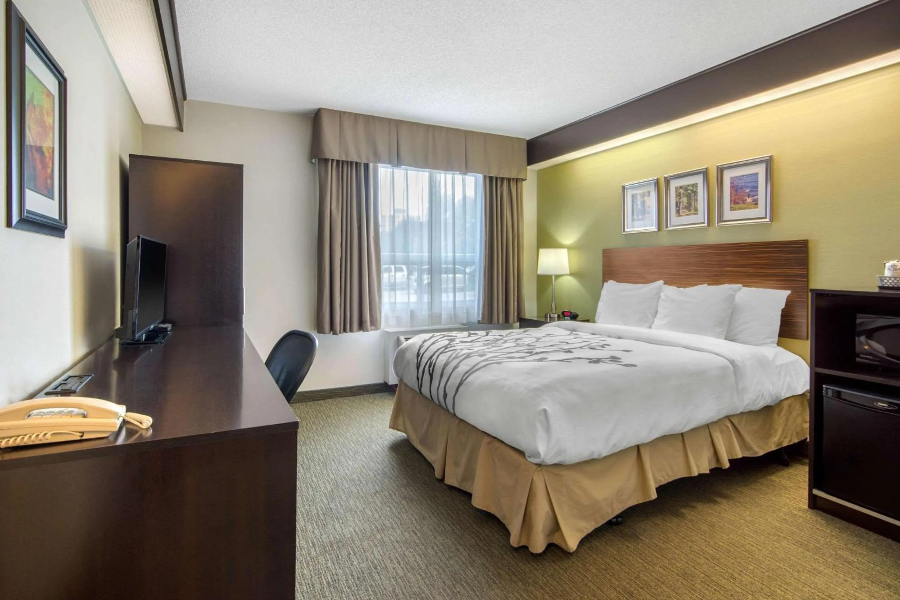 Photo of the whole room, Bed in Sleep Inn