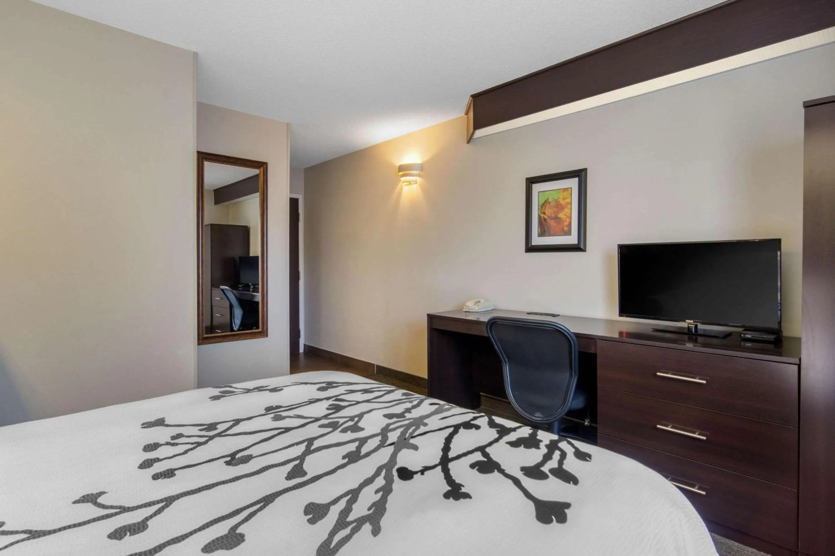 Photo of the whole room, Bed in Sleep Inn