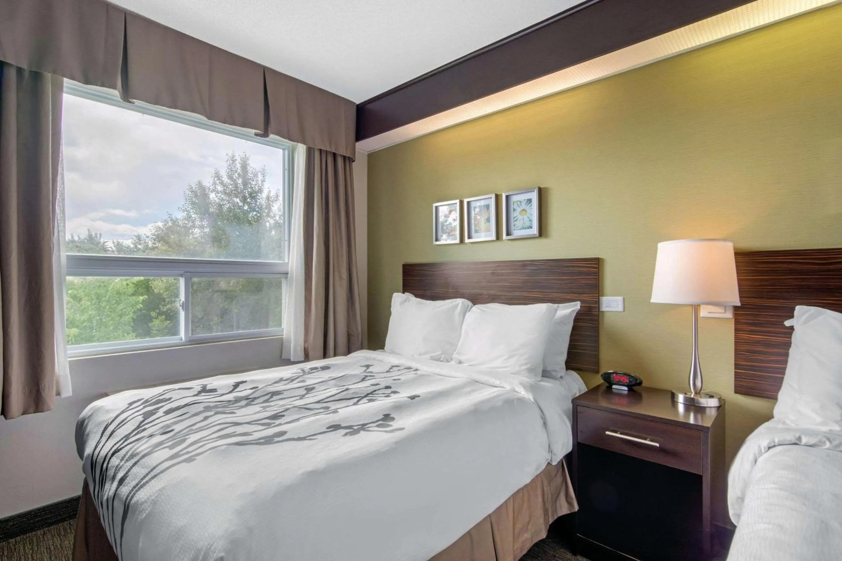 Photo of the whole room, Bed in Sleep Inn