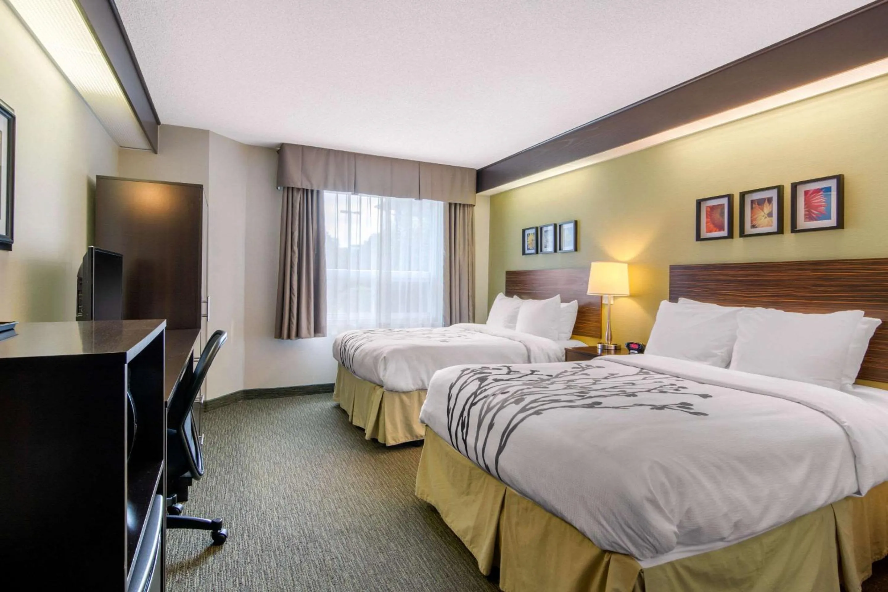 Photo of the whole room, Bed in Sleep Inn