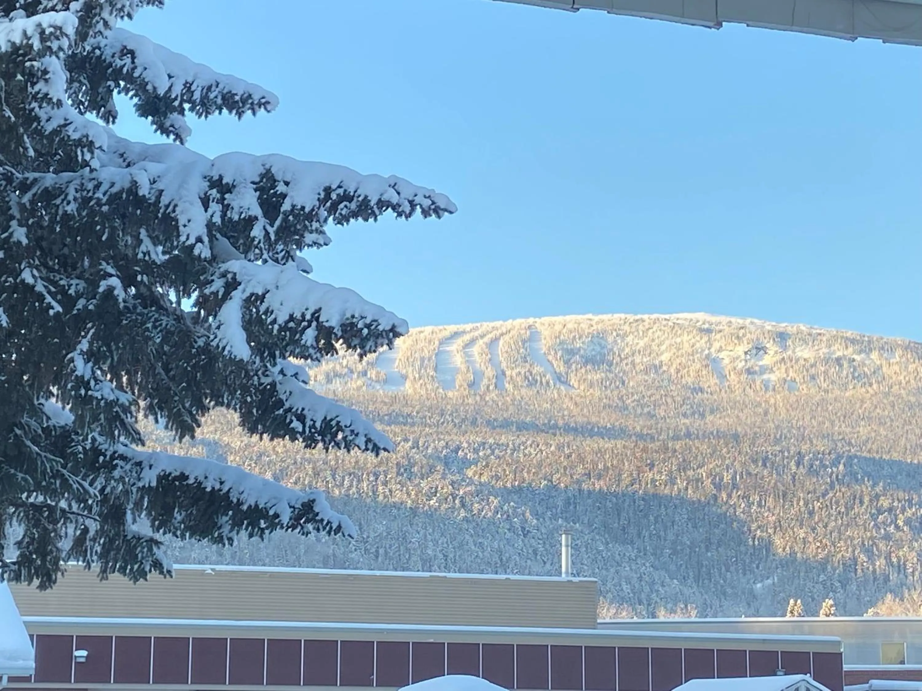 Mountain view in Mountain View Motel