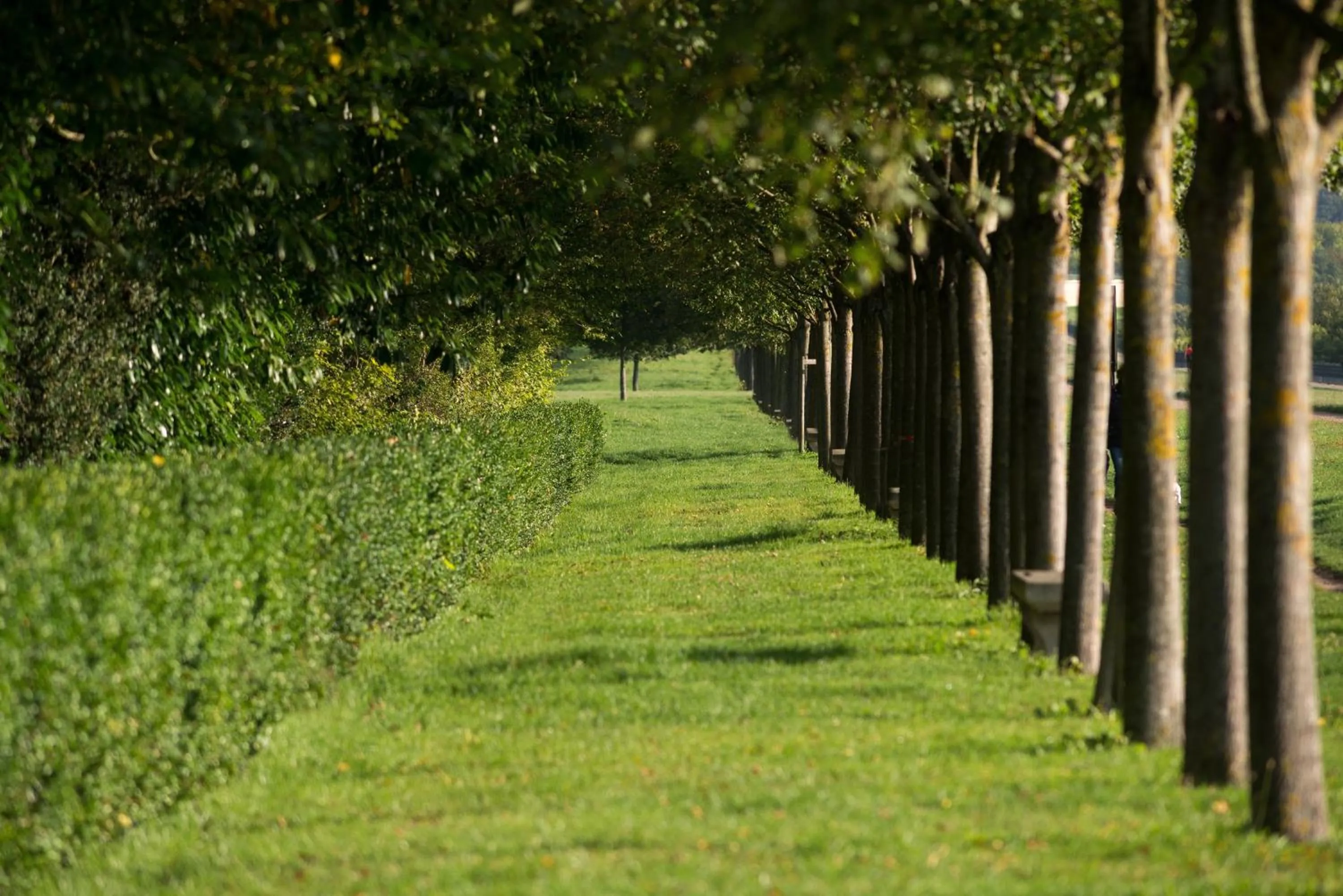 Garden in Pavillon Henri IV Hotel Restaurant Gastronomique Terrasse