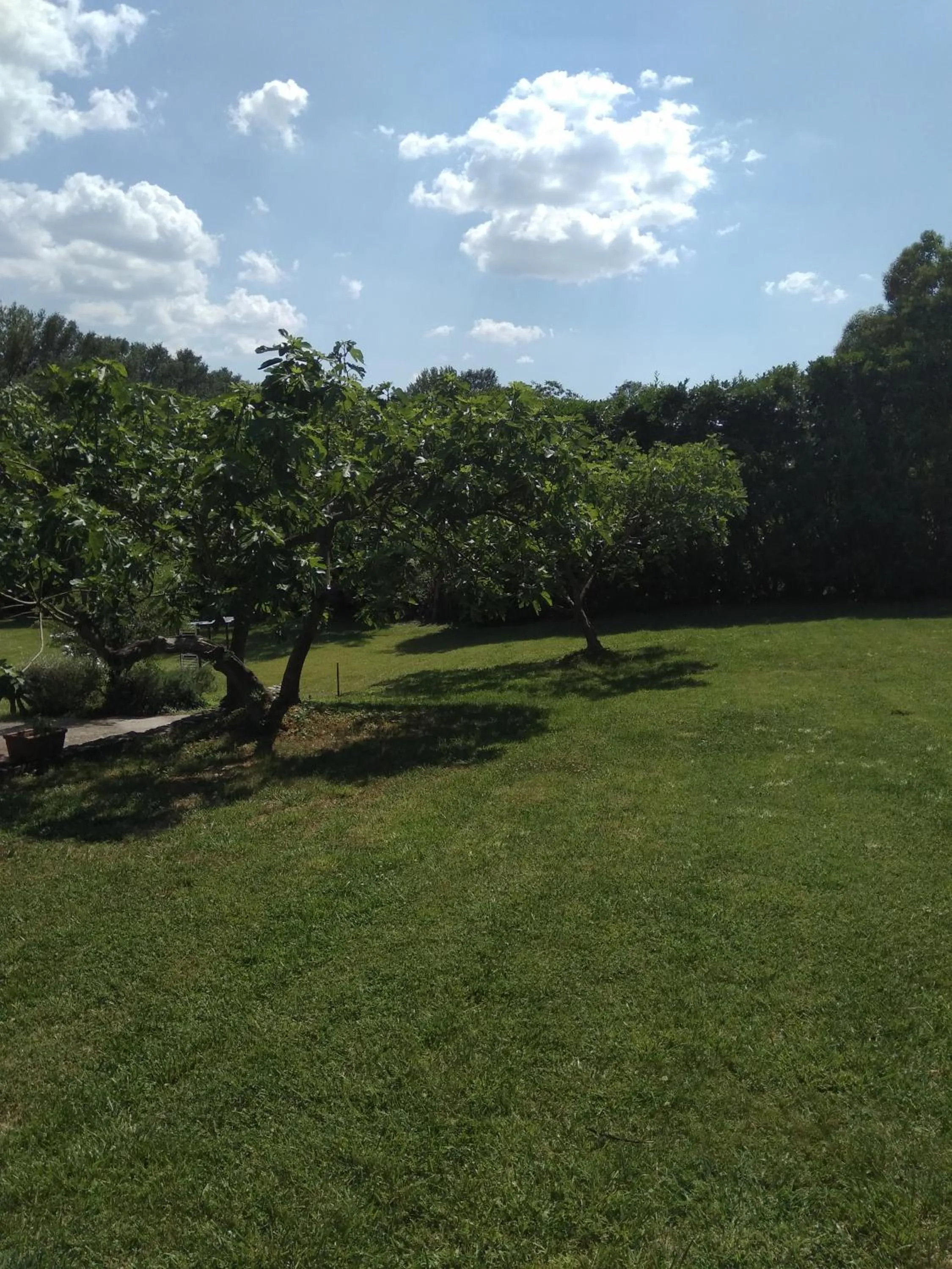 B&B la luna nel Pozzo