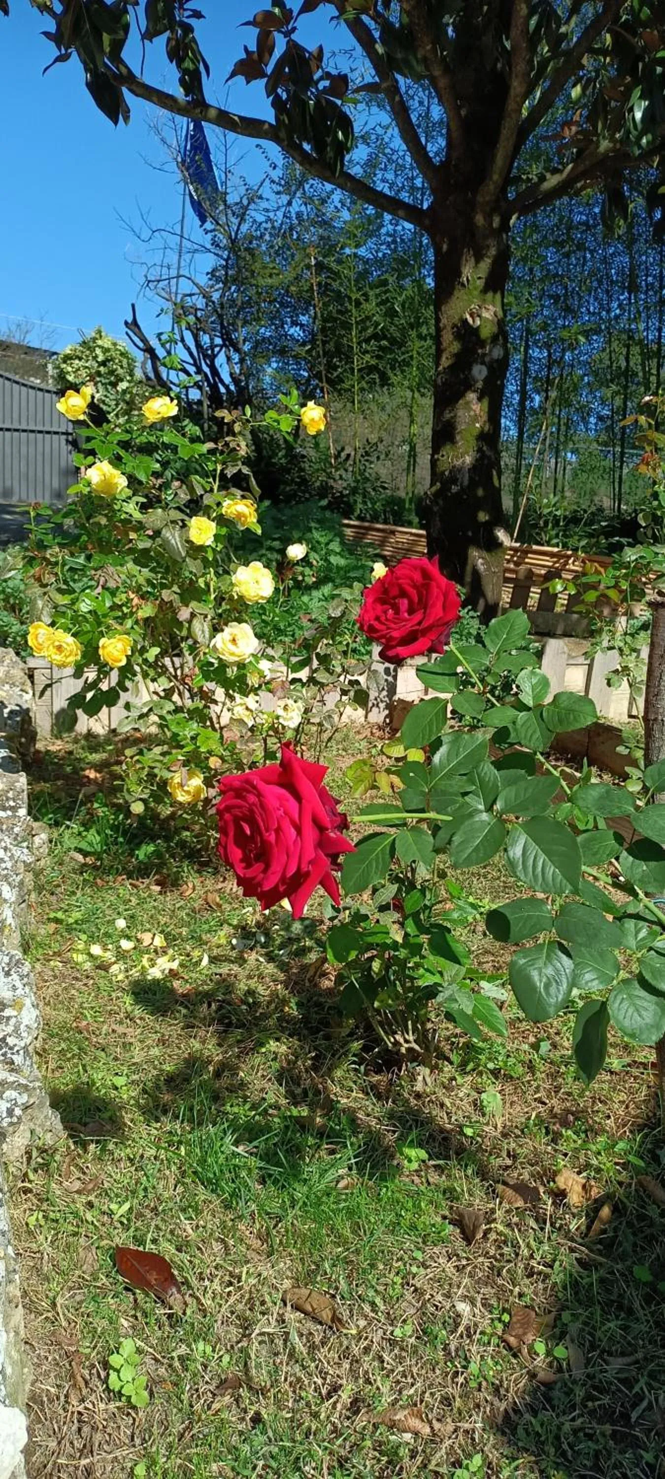 B&B la luna nel Pozzo