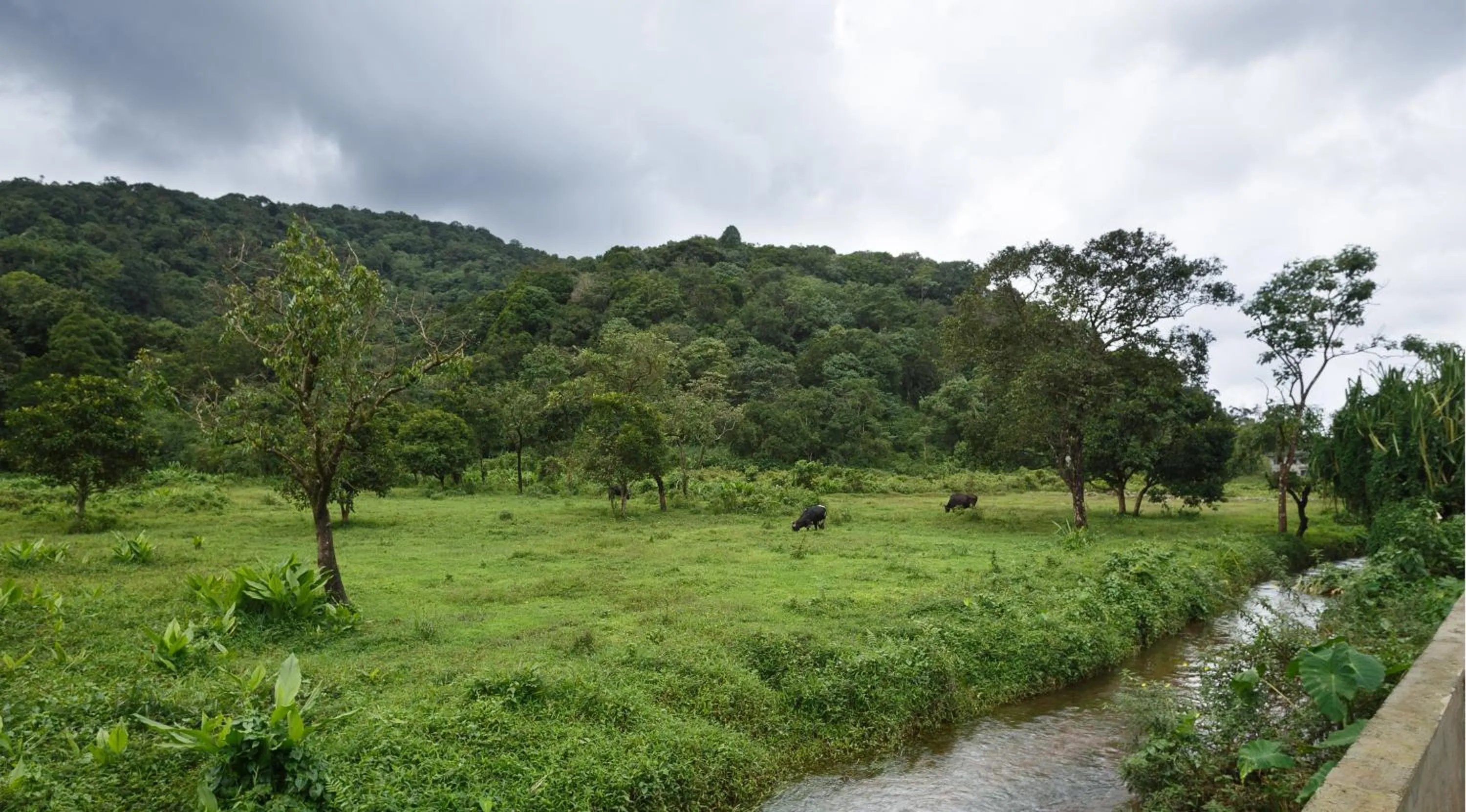 Property building in The Sanihara Hotel & Resort