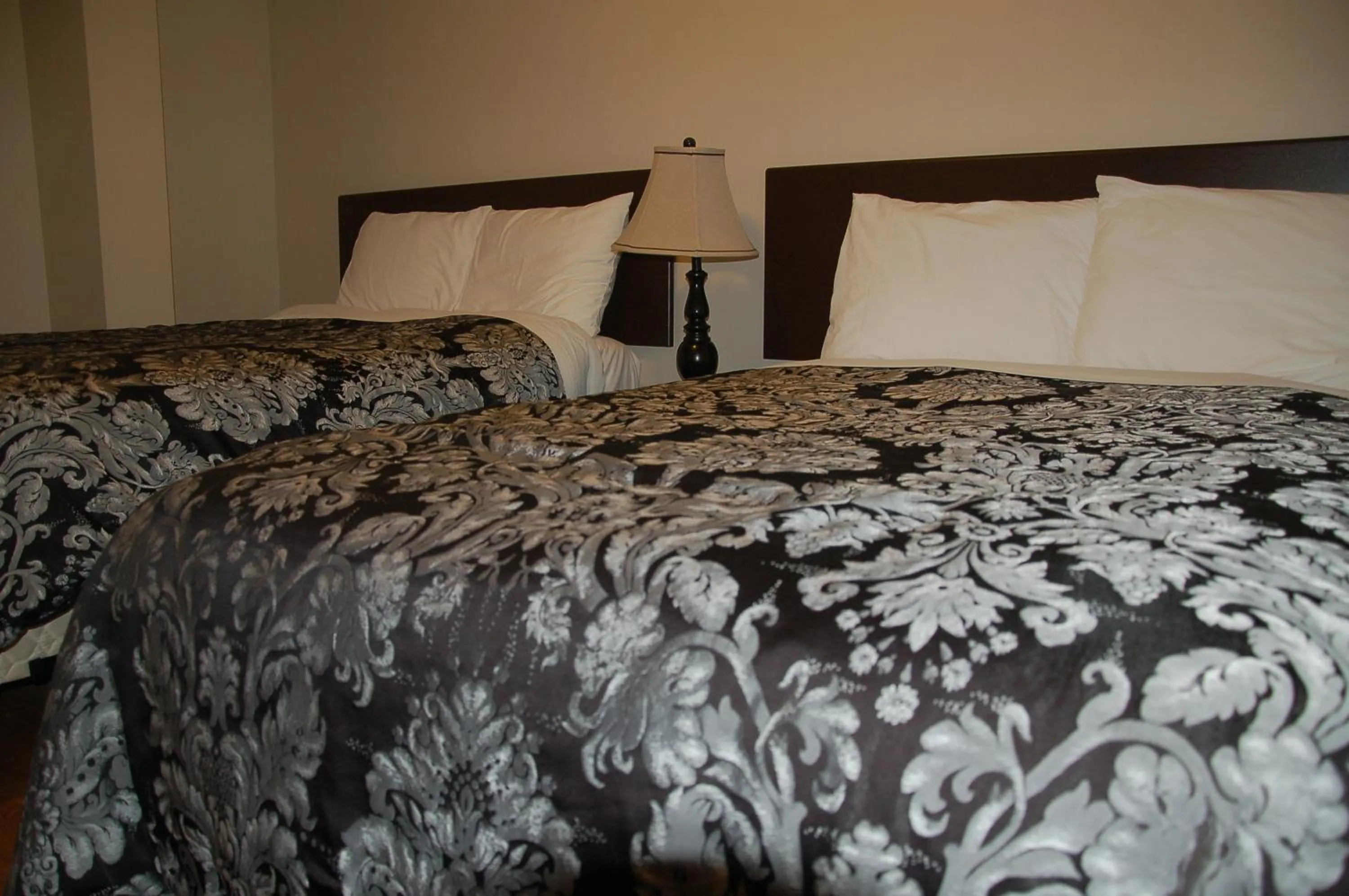 Bedroom, Bed in Stardust Motel