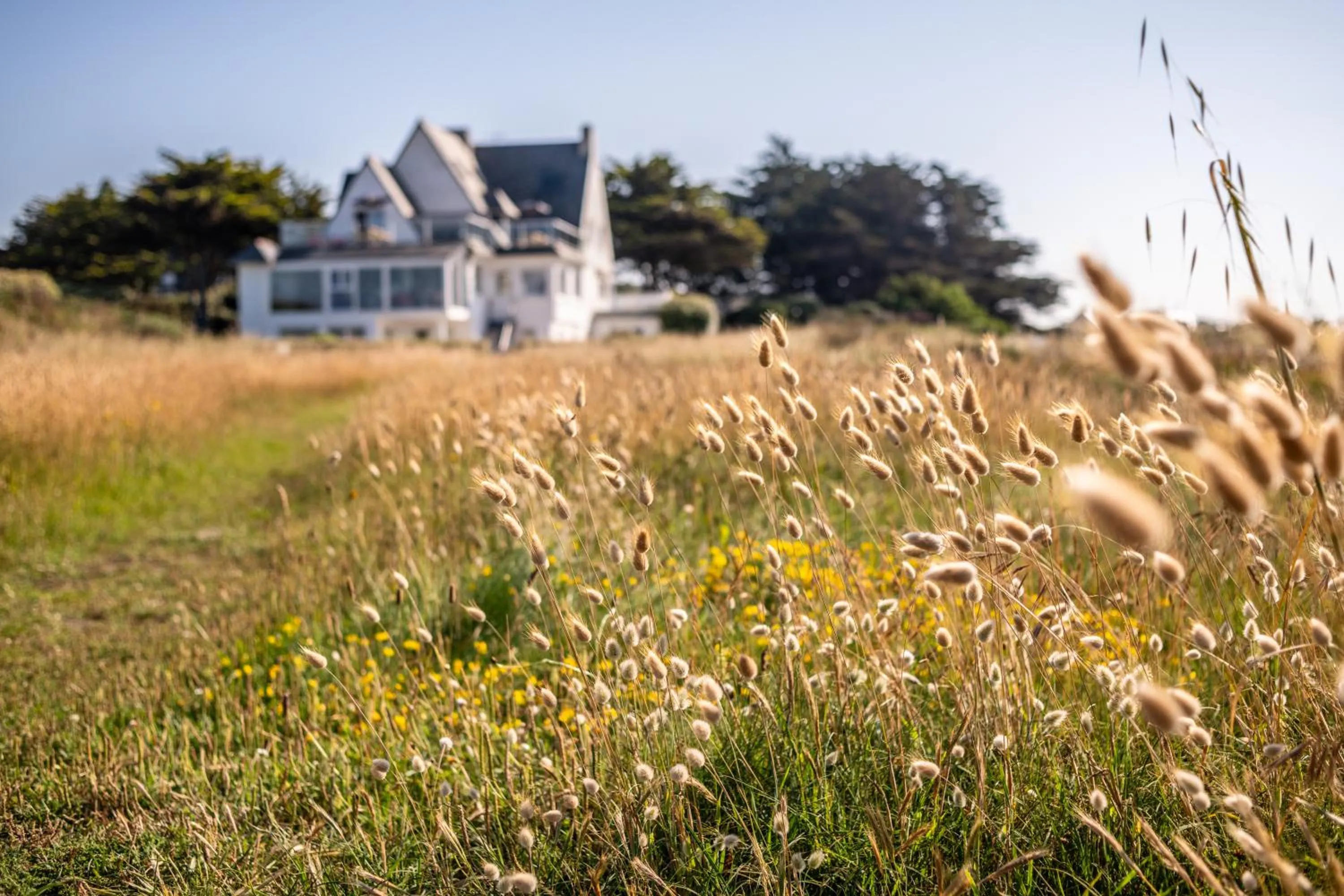 Property building in Hôtel Le Lichen De La Mer