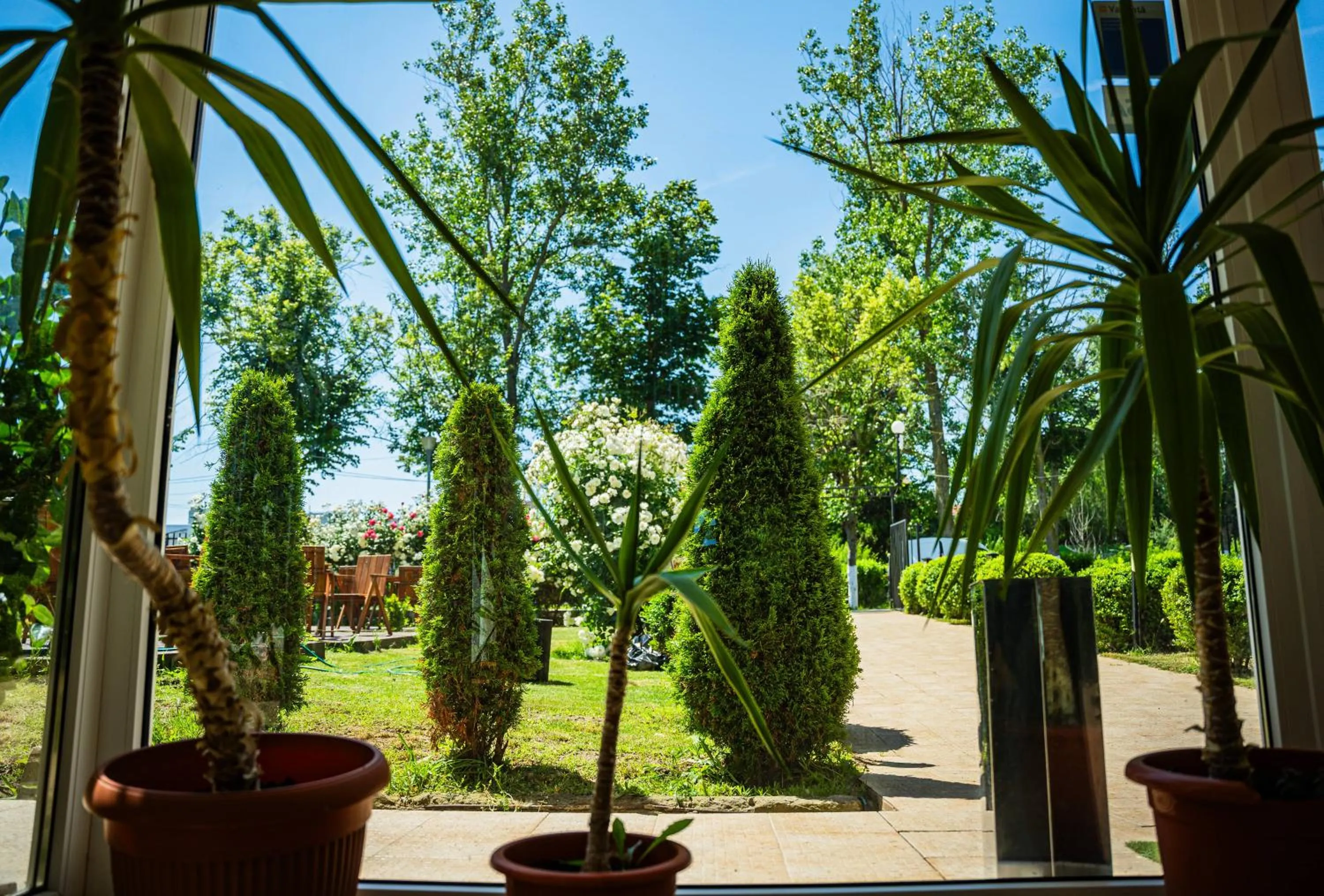 Balcony/Terrace in Complex Vraja Mării Costinești