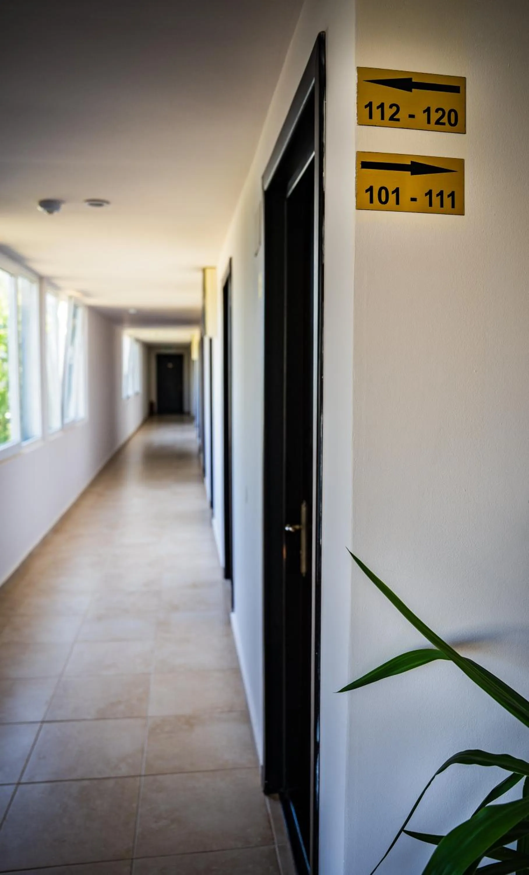 Property building in Complex Vraja Mării Costinești