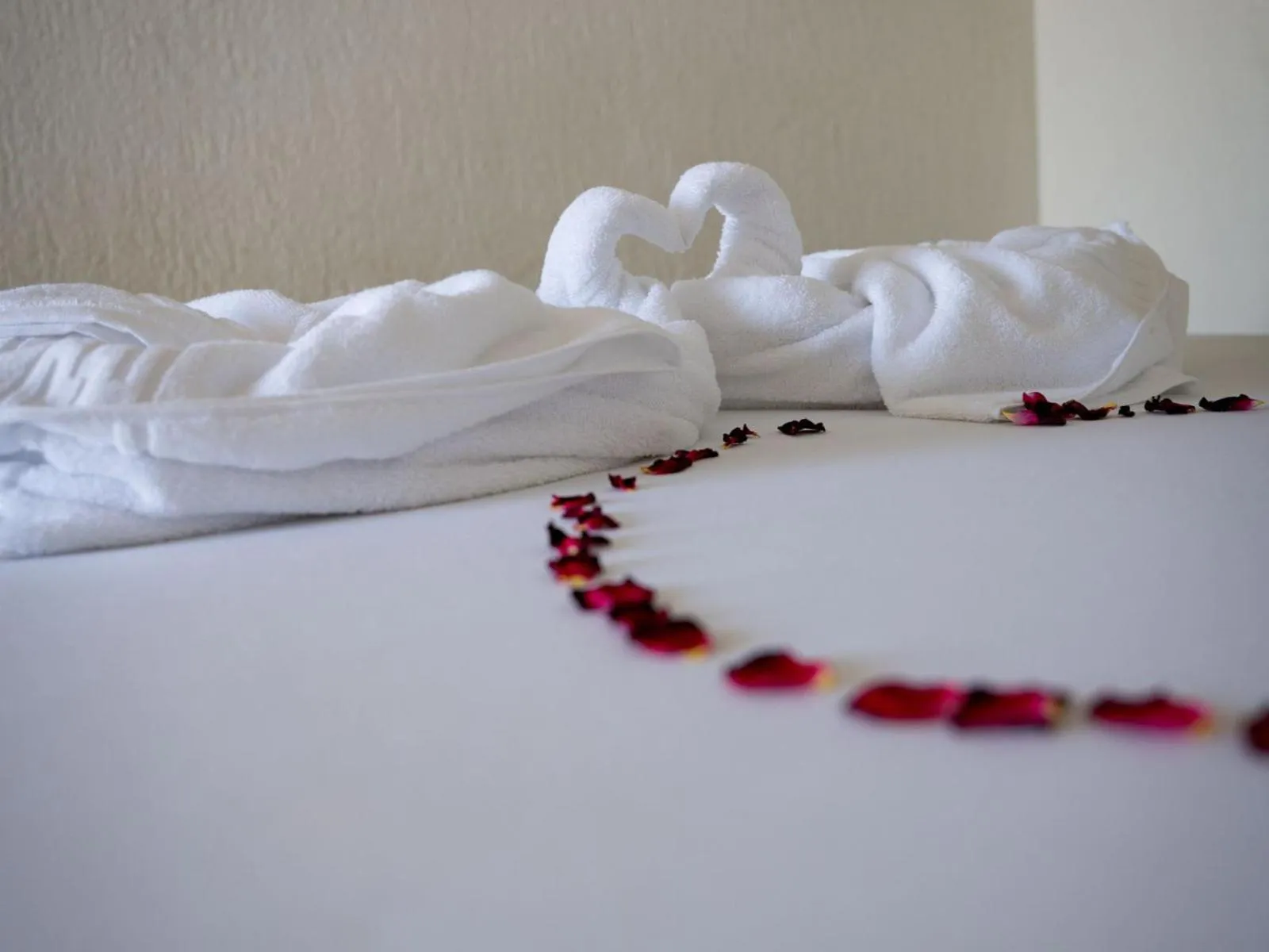 towels in Complex Vraja Mării Costinești