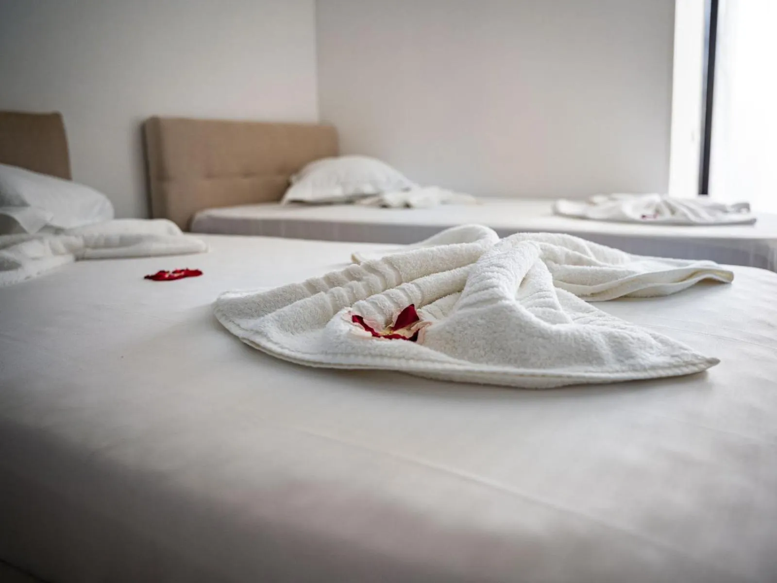 Bed in Complex Vraja Mării Costinești