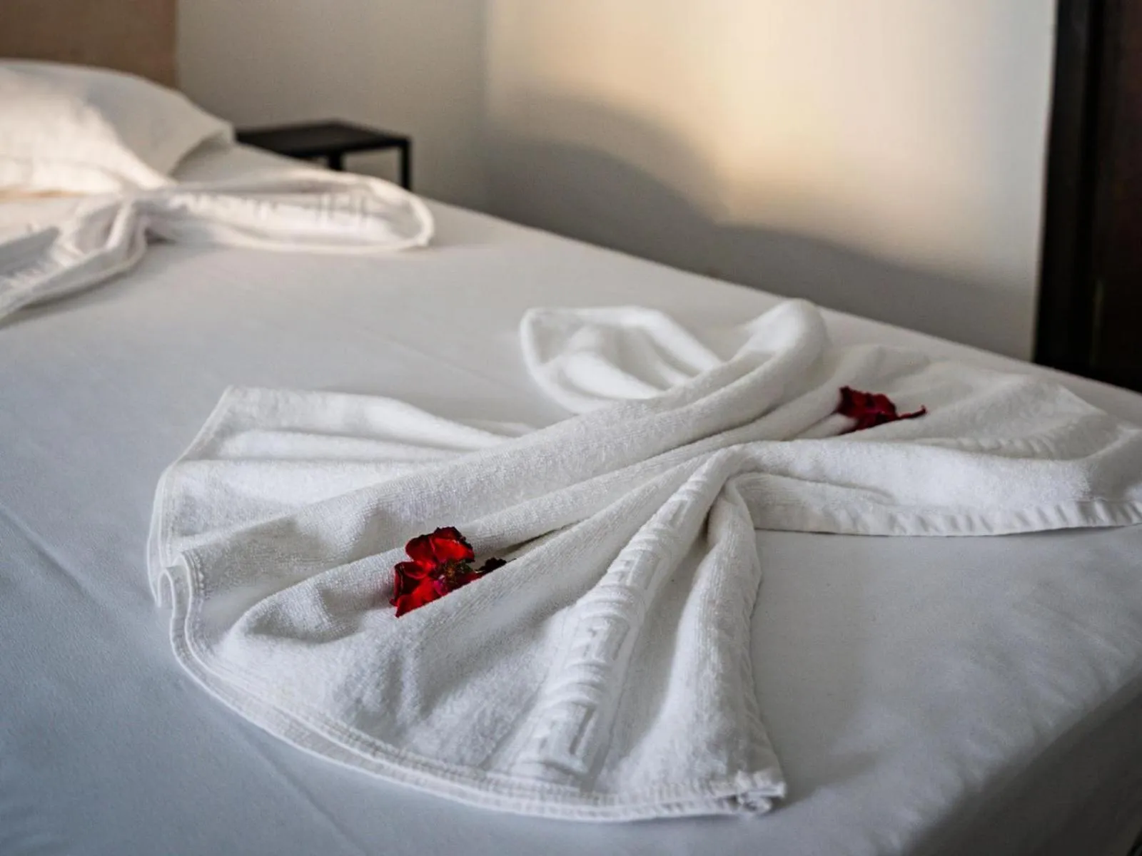 Bed in Complex Vraja Mării Costinești