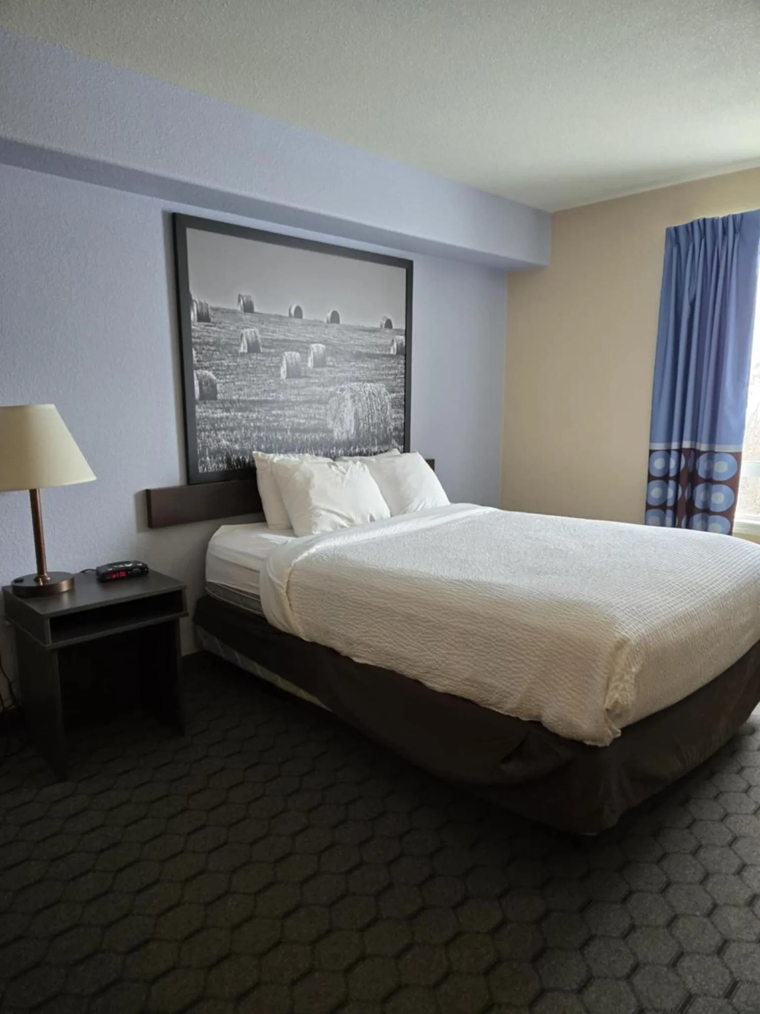 Bed in Super 8 by Wyndham Swan River MB