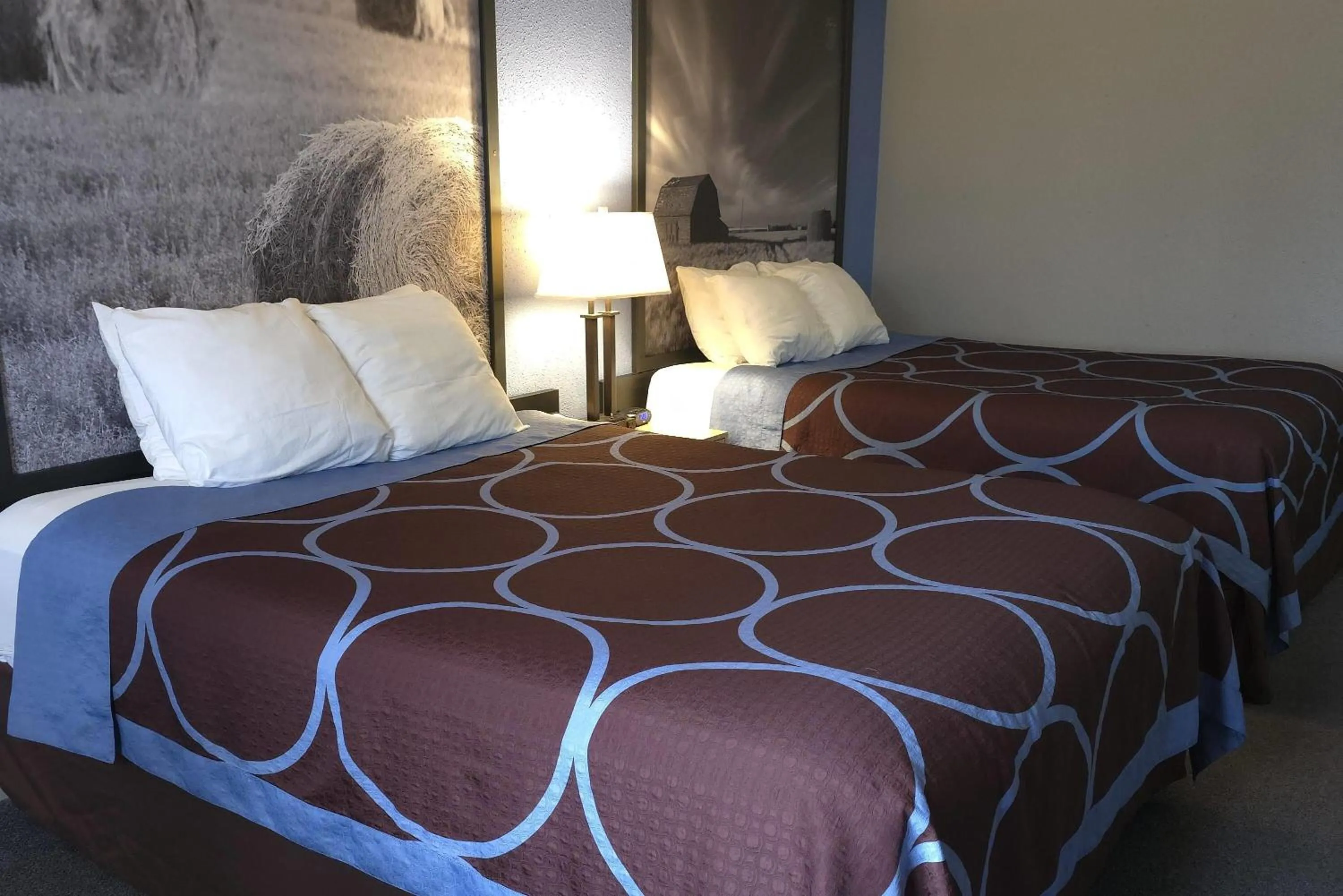 Photo of the whole room, Bed in Super 8 by Wyndham Swift Current