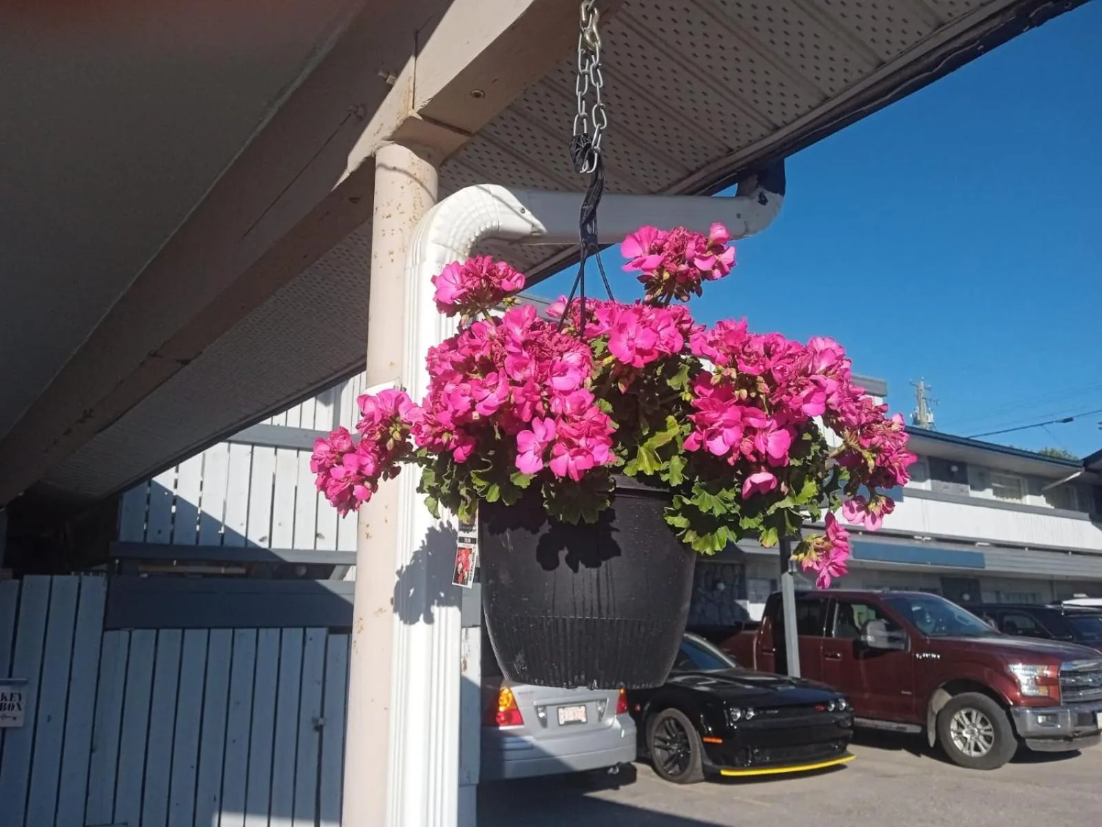 Garden in Tara Vista Inn