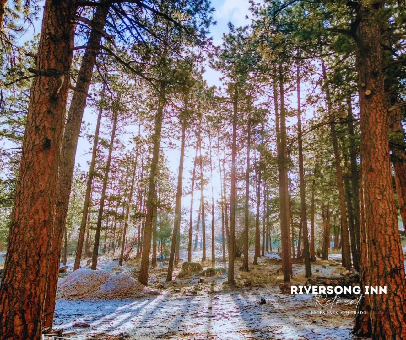 Spring in Riversong Inn Retreat