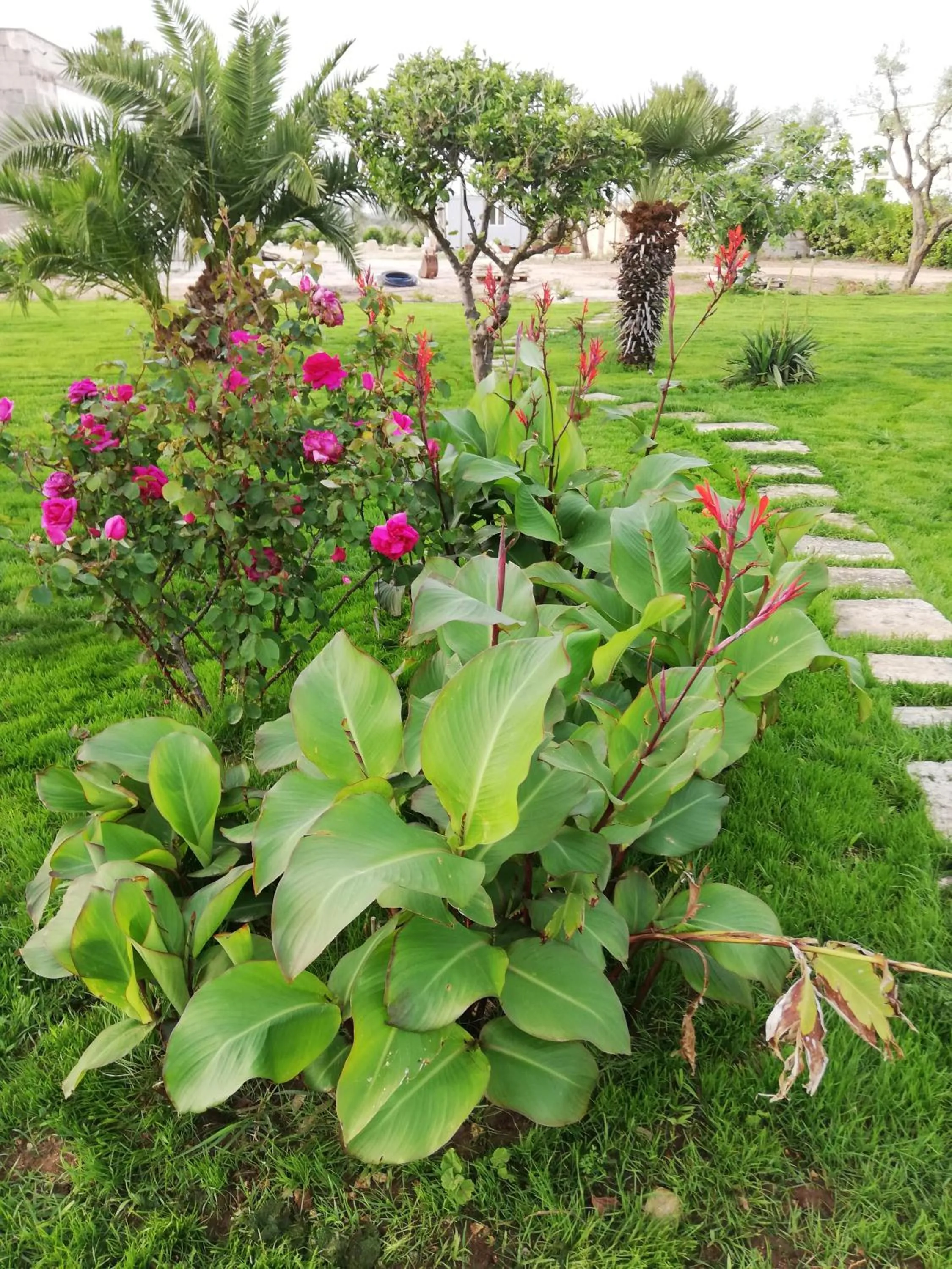 Garden in Il giardino dei tramonti