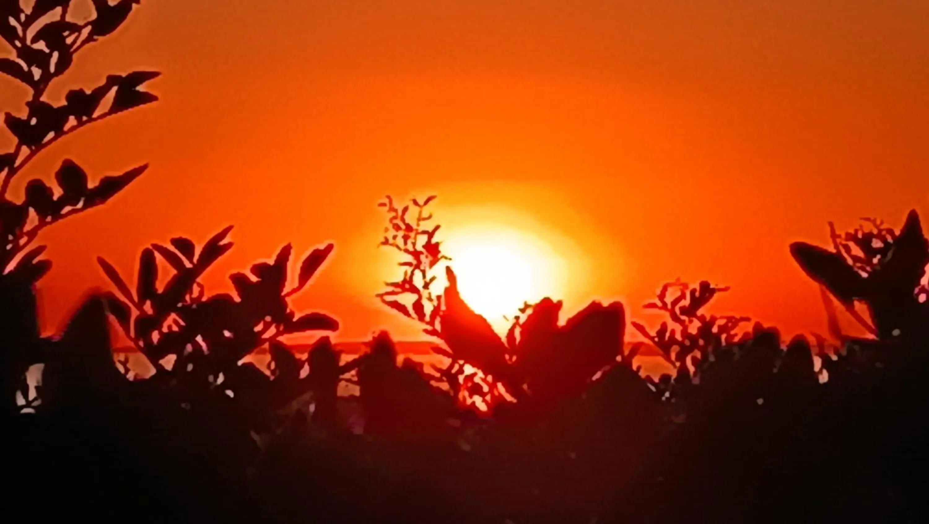 Sunset in Il giardino dei tramonti