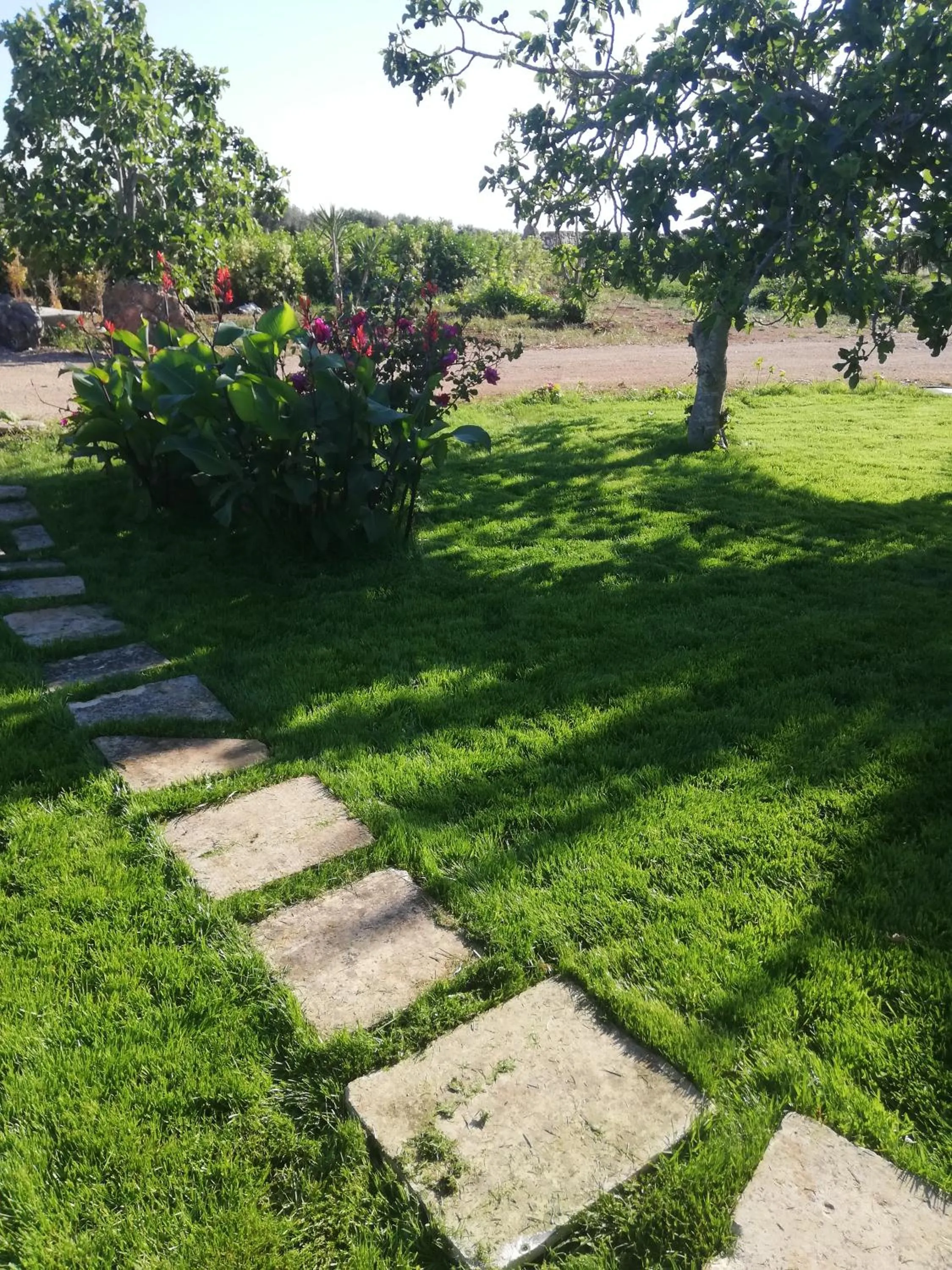 Garden in Il giardino dei tramonti