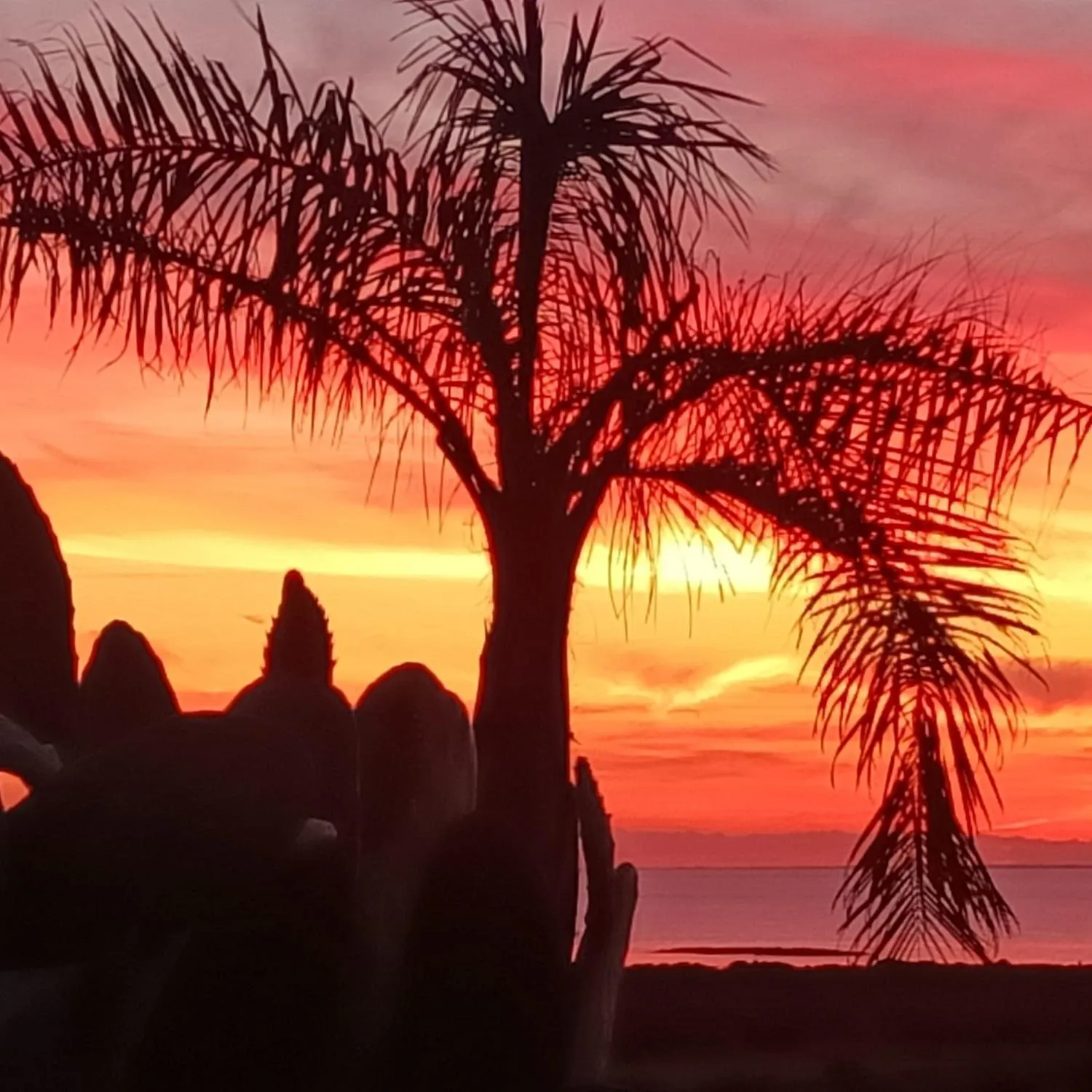 Sunset in Il giardino dei tramonti