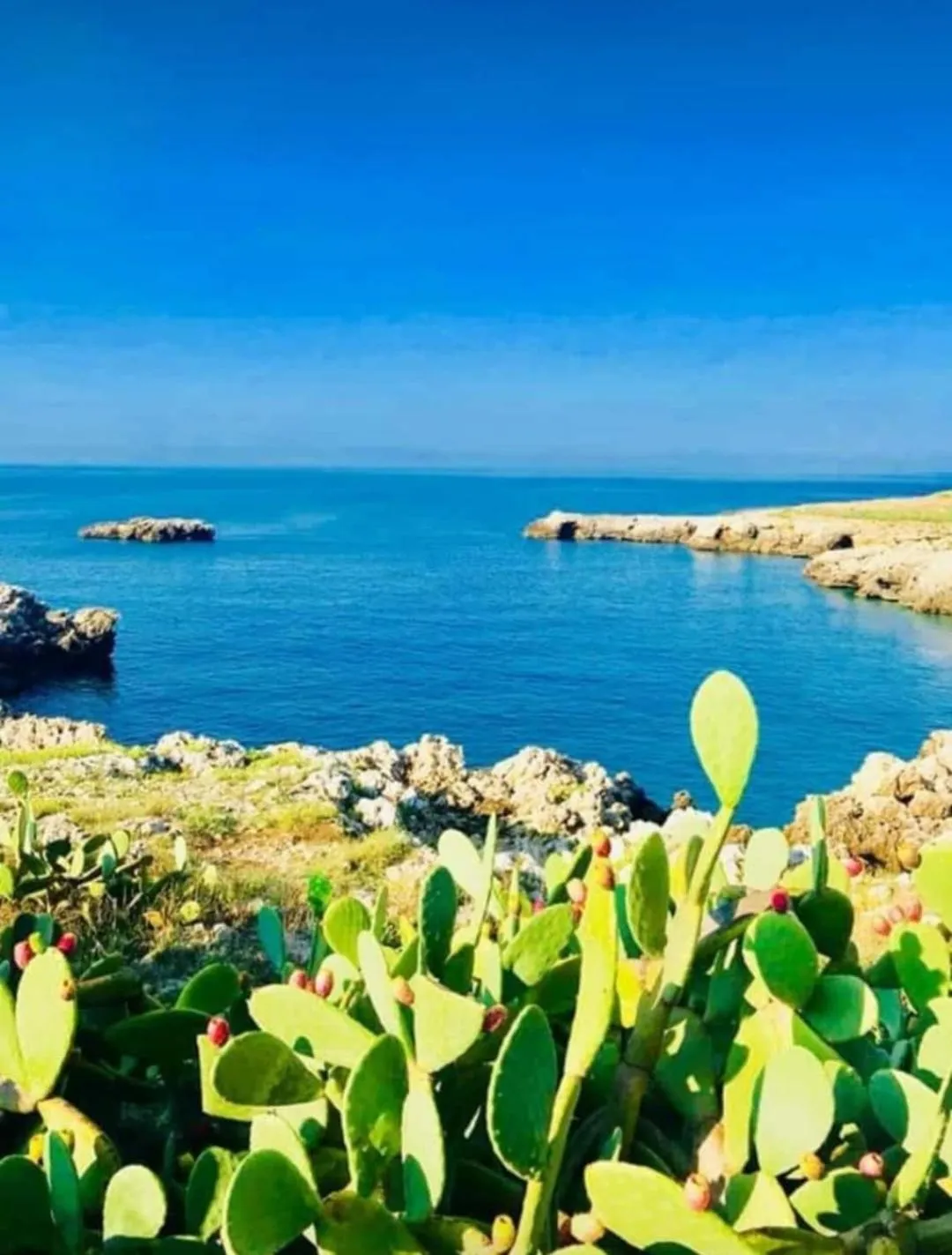 Natural landscape in Il giardino dei tramonti