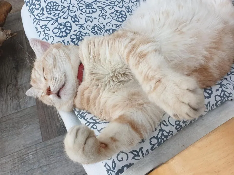 Pensjonat Kaszubianka