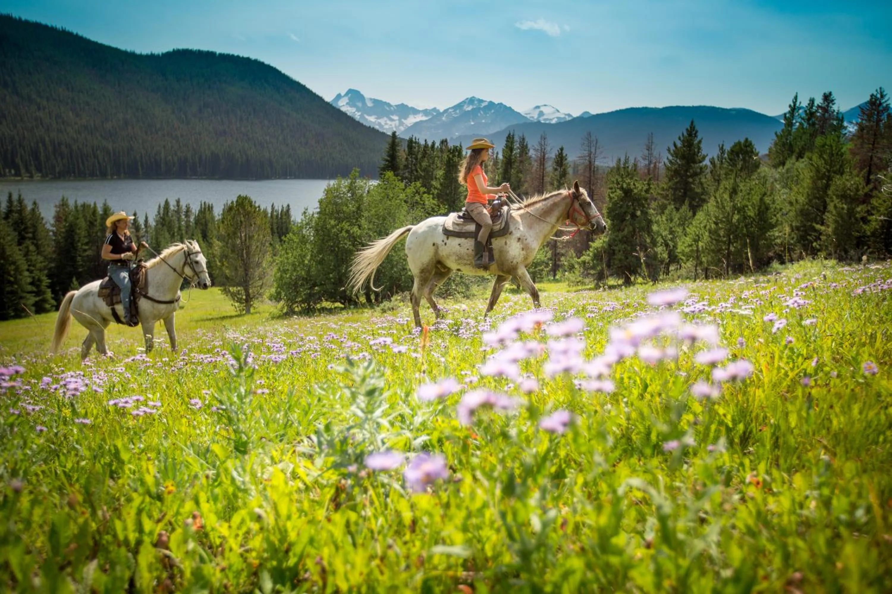 Horse-riding in Tyax Lodge & Heliskiing