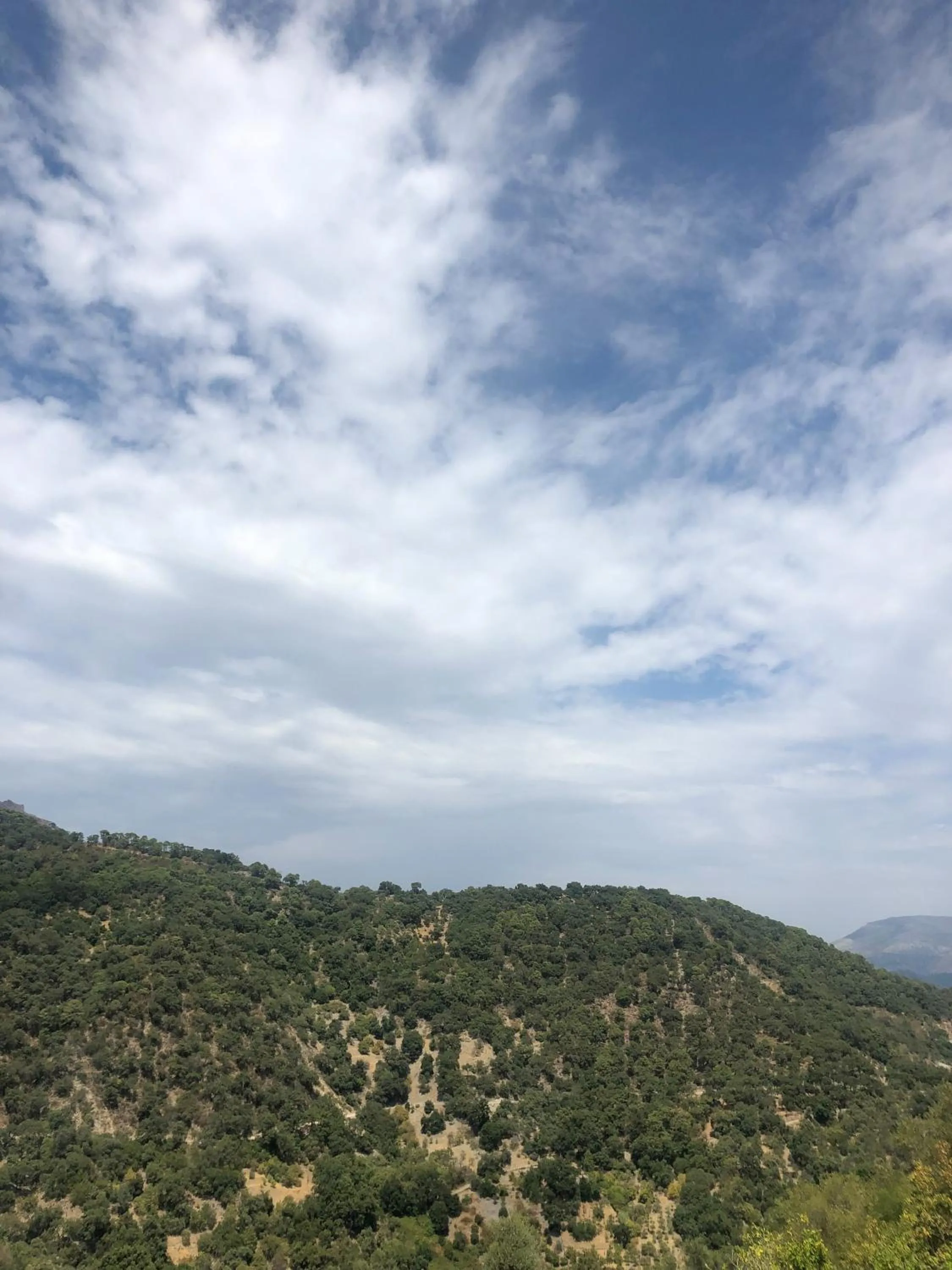 Natural landscape in Benarrabá Hostel