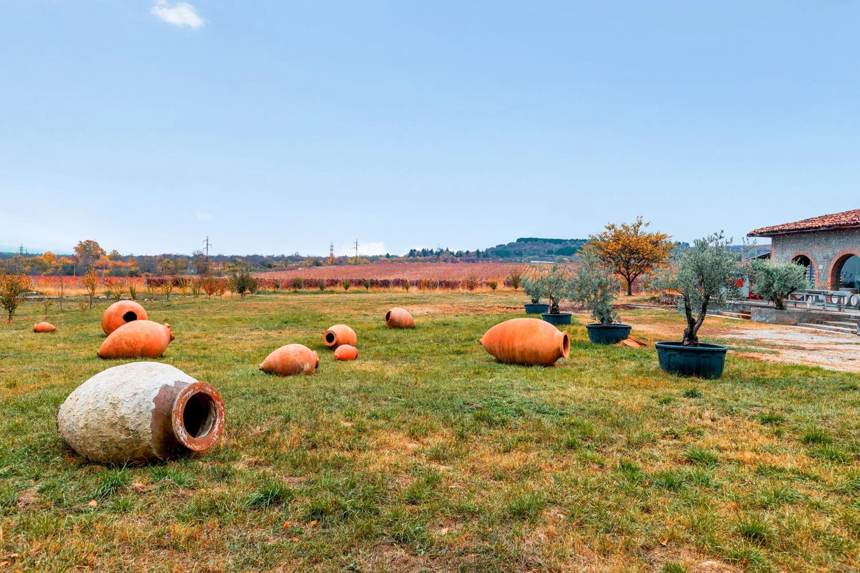 Natural landscape in Park Hotel Tsinandali Estate