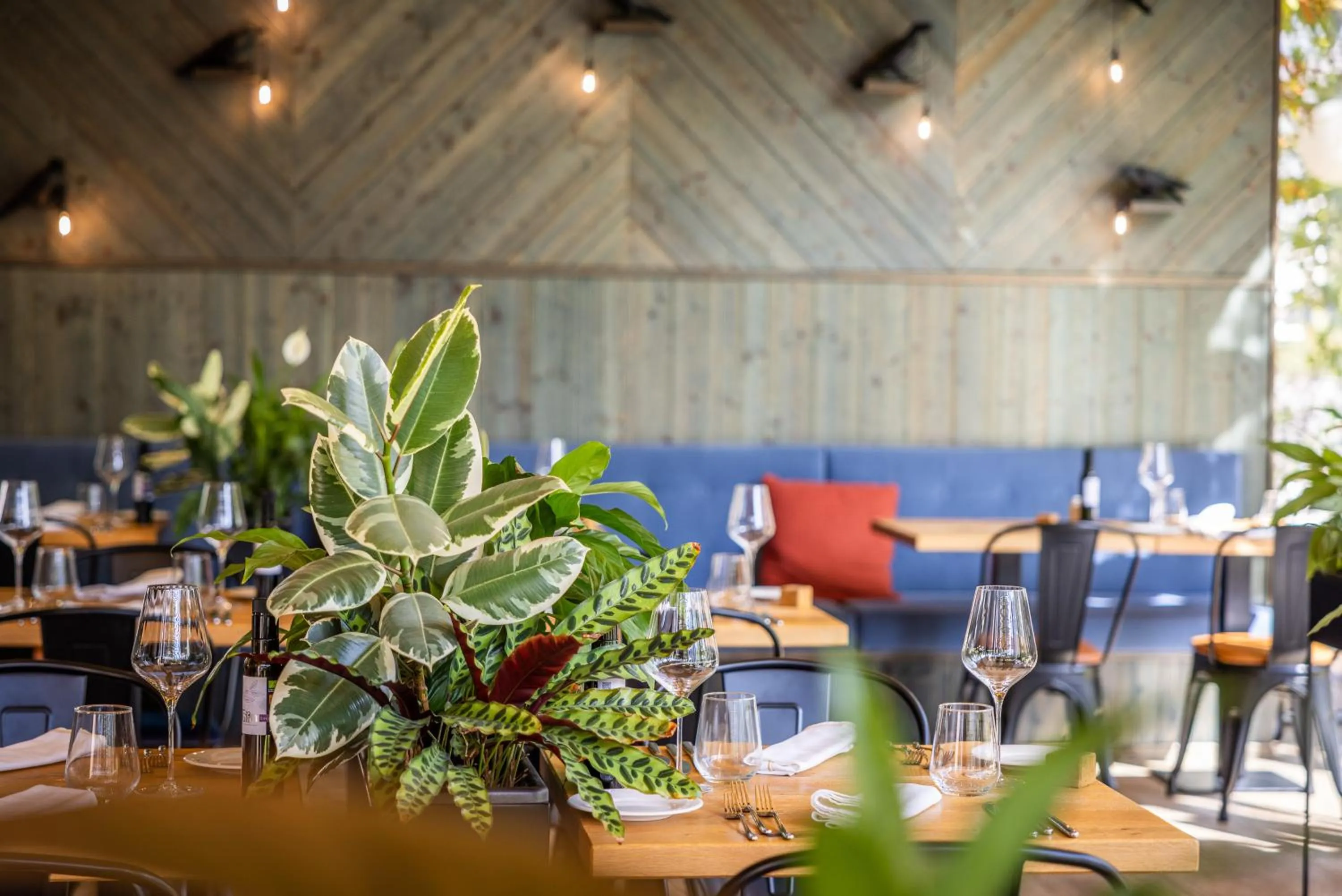 Restaurant/places to eat in Boutique Hotel Sunrose 7 - Gourmet & SPA