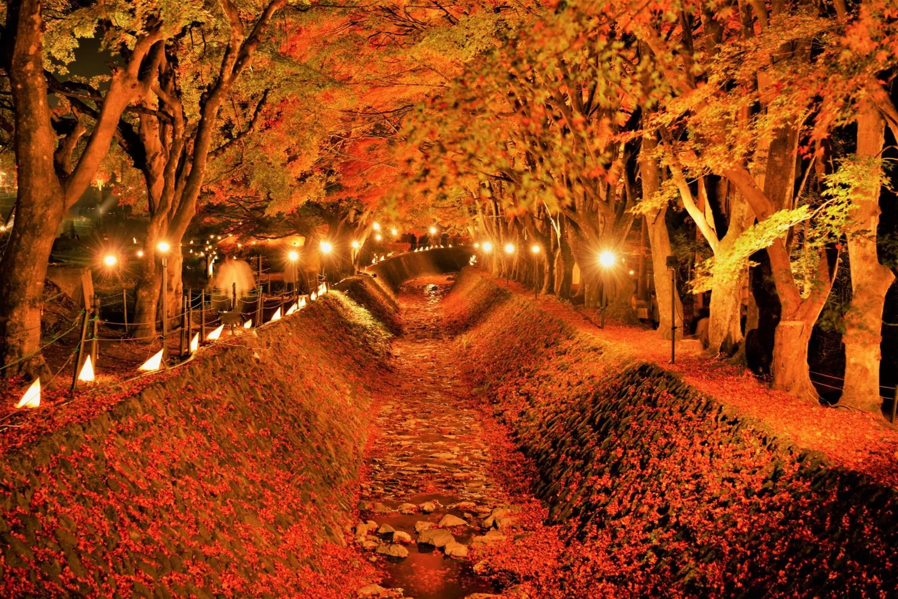 Nearby landmark in Erable Mt.Fuji "Zen"