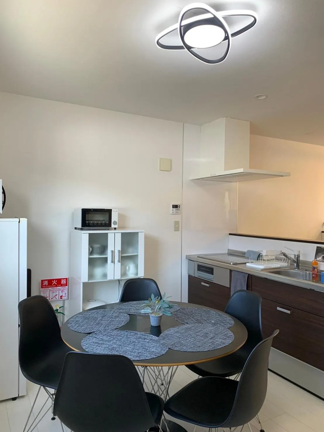 Erable Mt.Fuji "Zen"