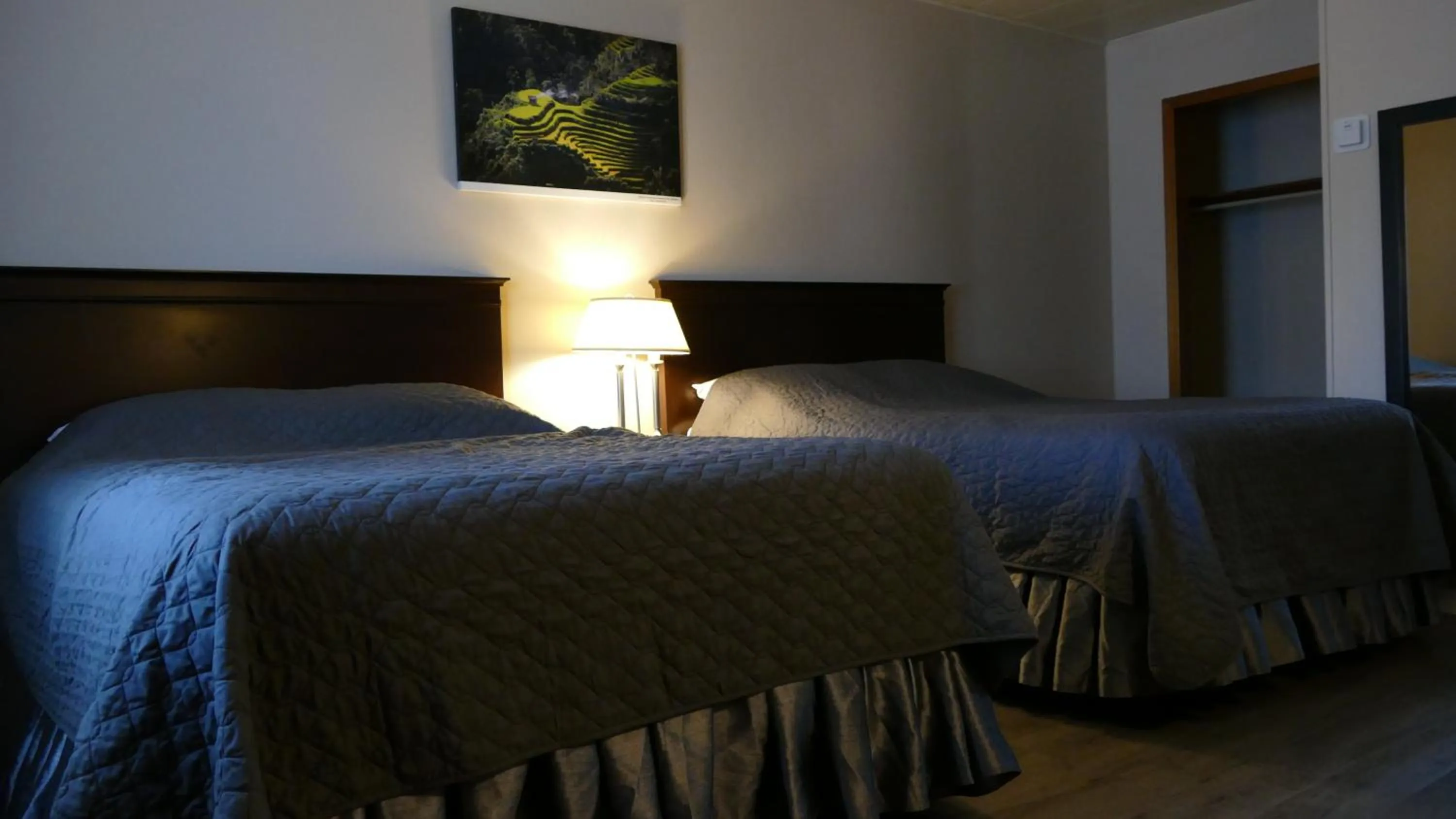 Bed in The White Horse Motel