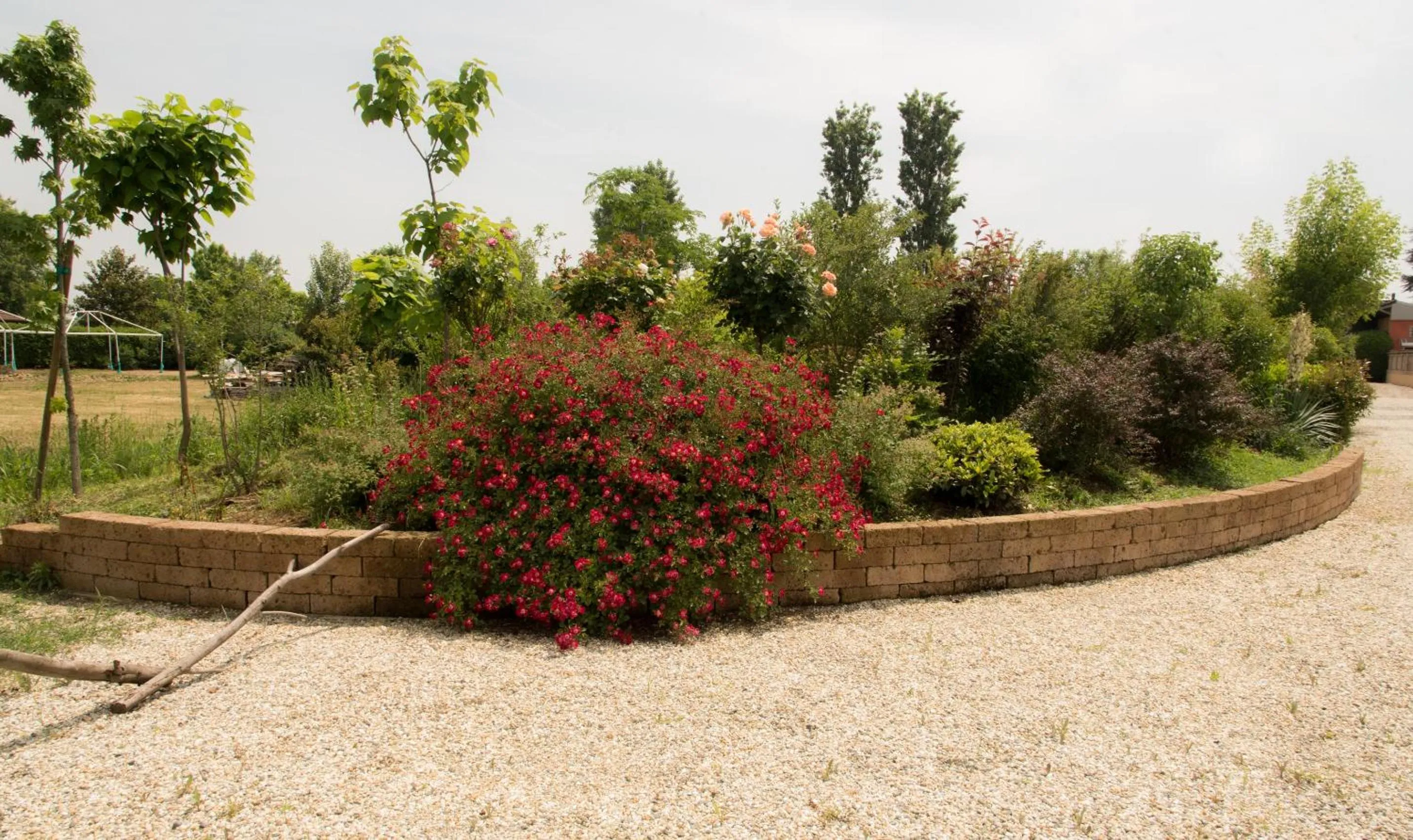 Garden in La Trunera Guest House