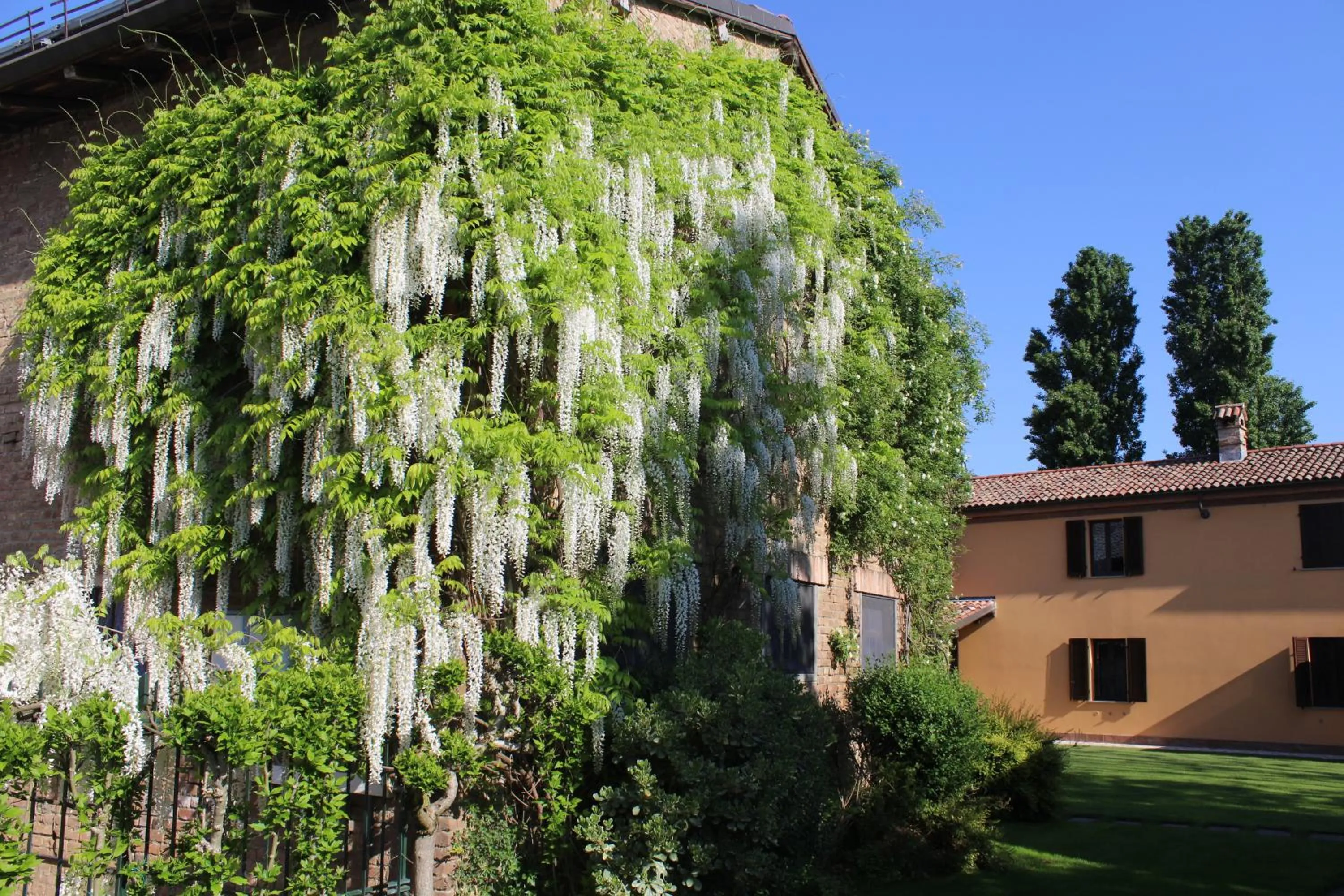 Garden in La Trunera Guest House