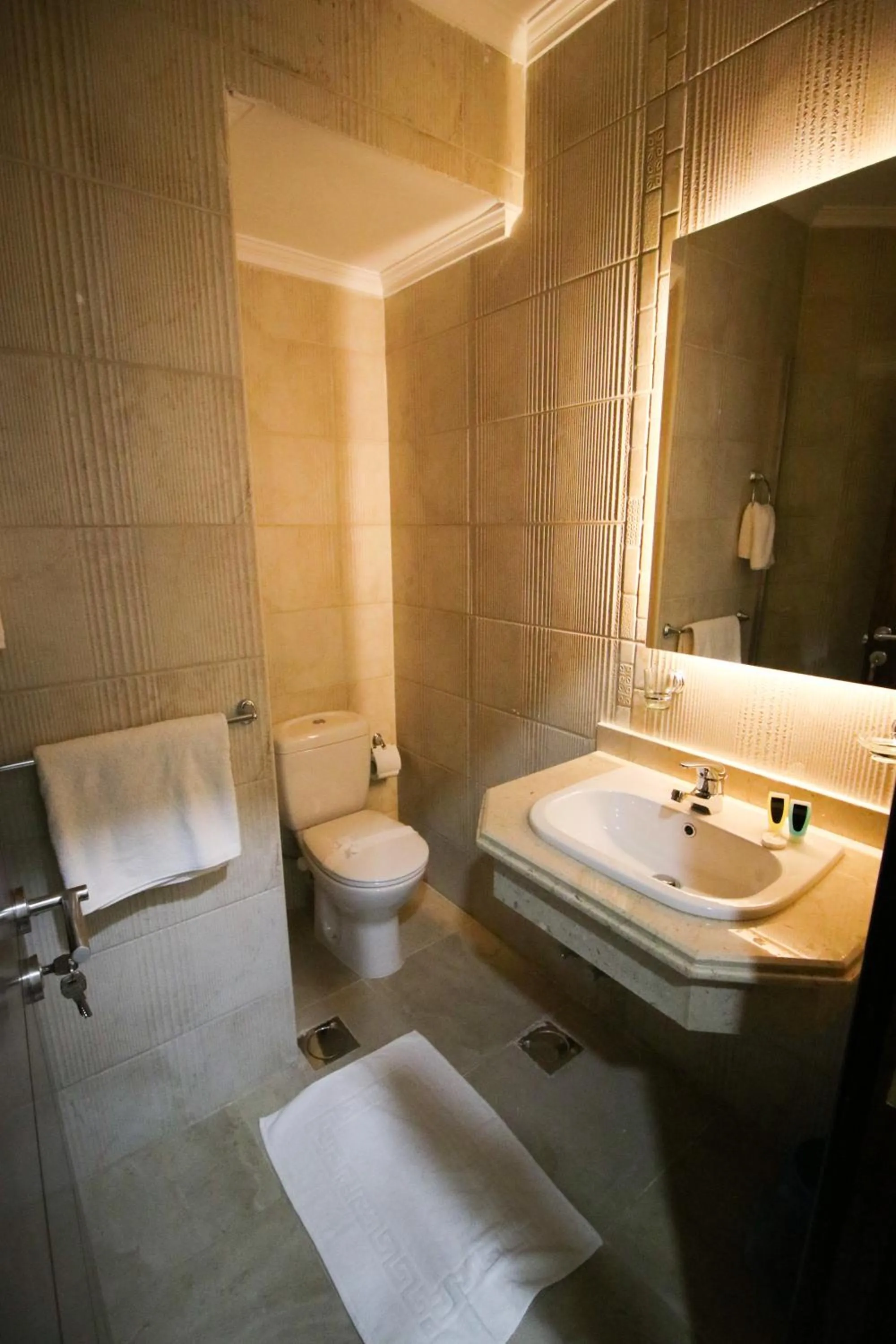 Bathroom in Miramar Talaat Harb Square