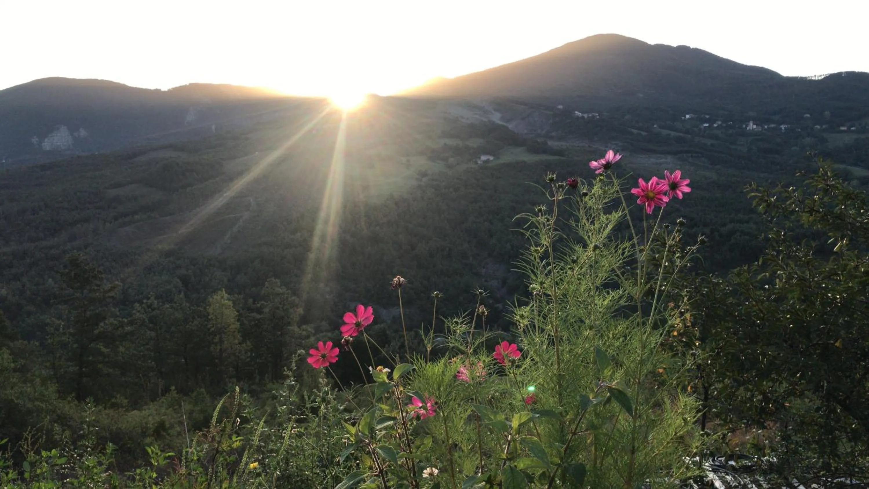 Le Spine B&B sulla Via Francigena