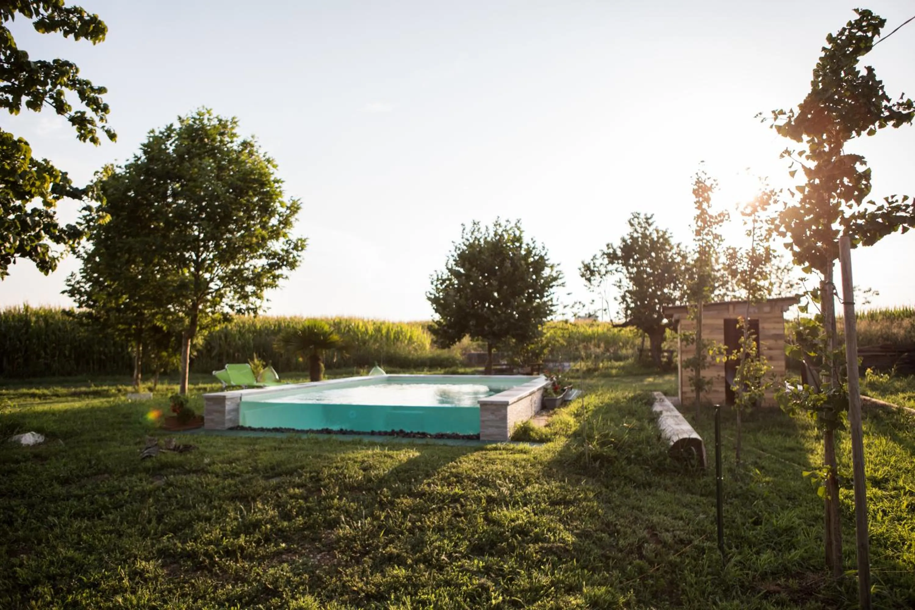 Swimming pool in B&B Casa Campagnari