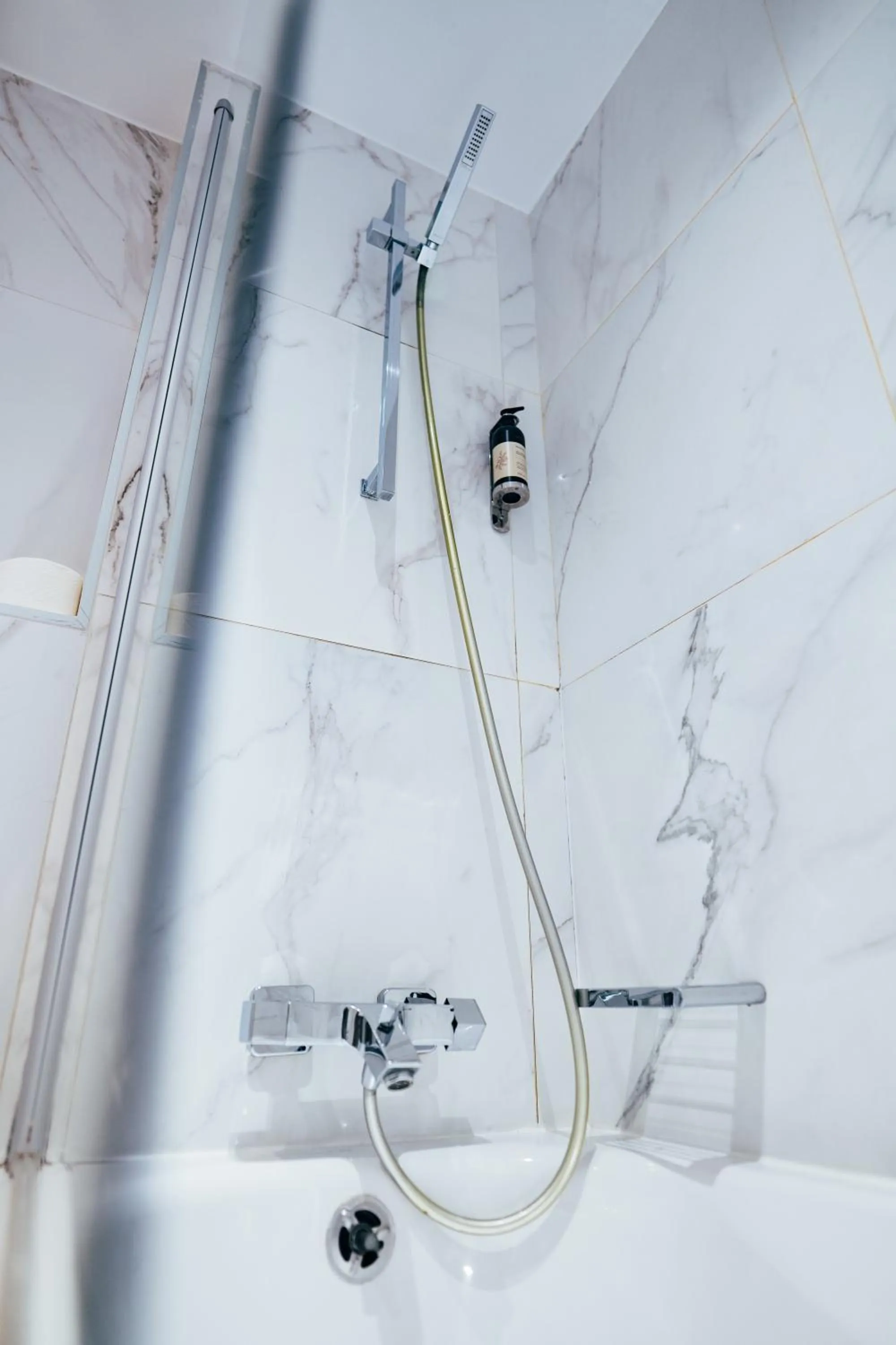 Shower in Hôtel du Cheval Blanc - Paris Marne La Vallée