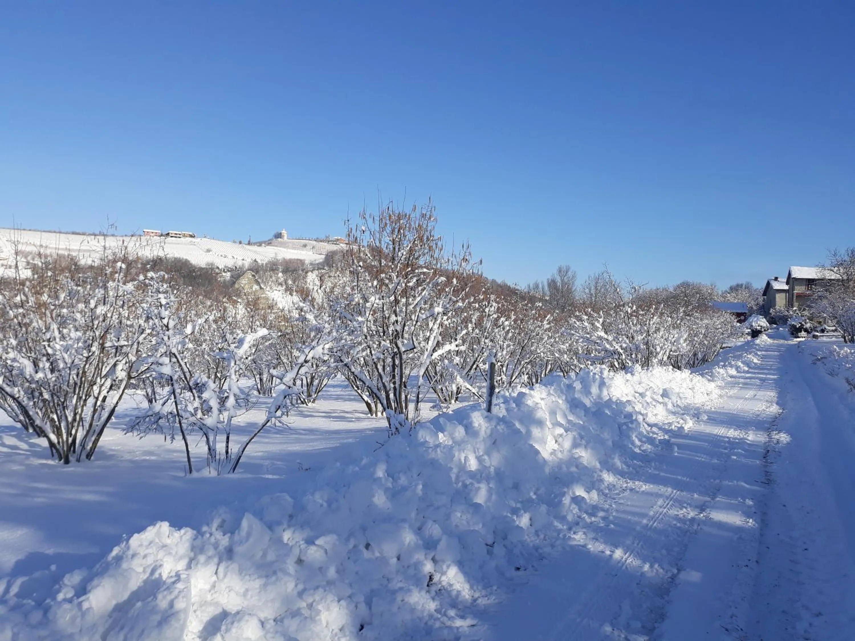 Natural landscape in Agriturismo Cascina Binelli