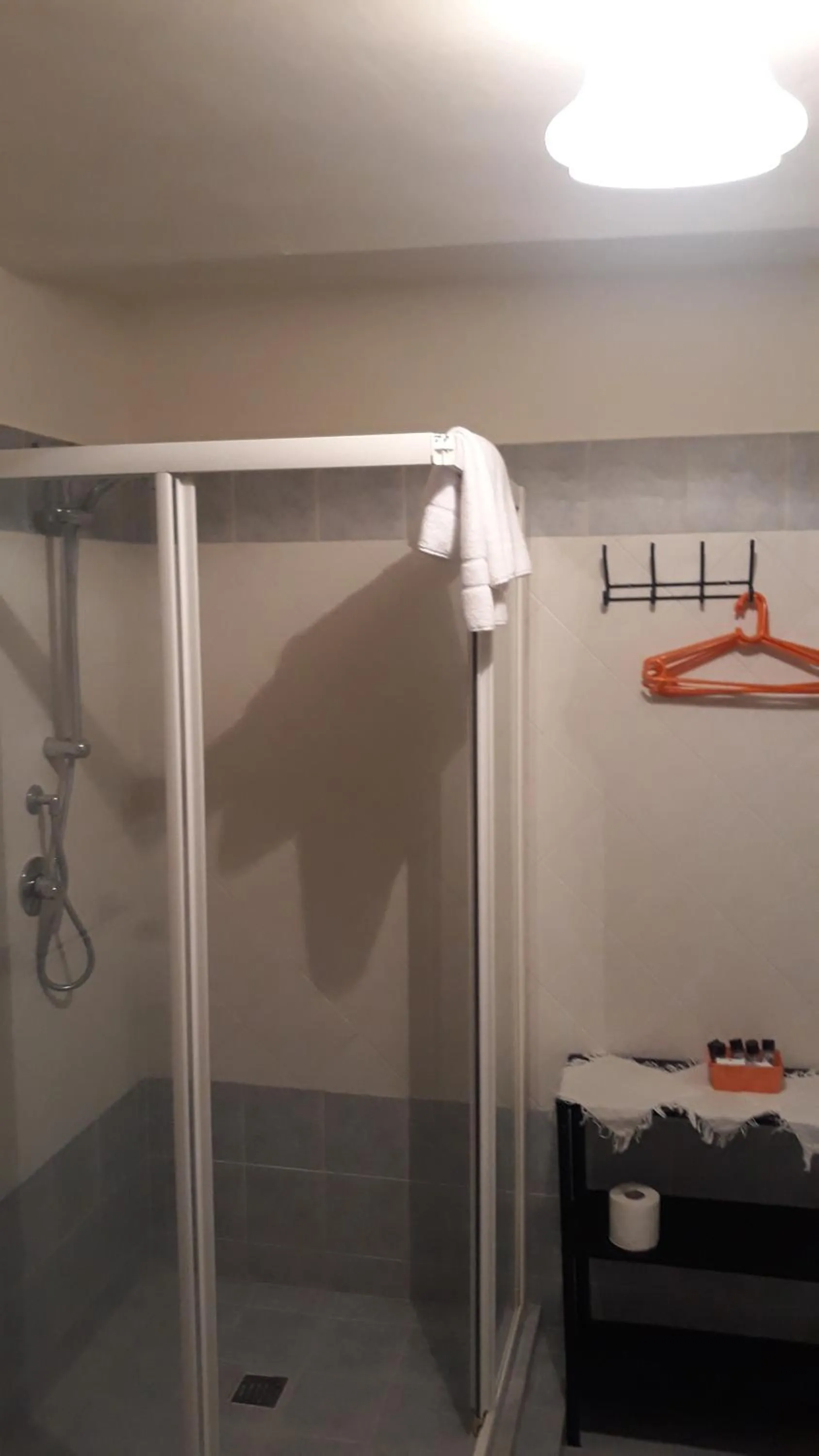Shower in Agriturismo Cascina Binelli