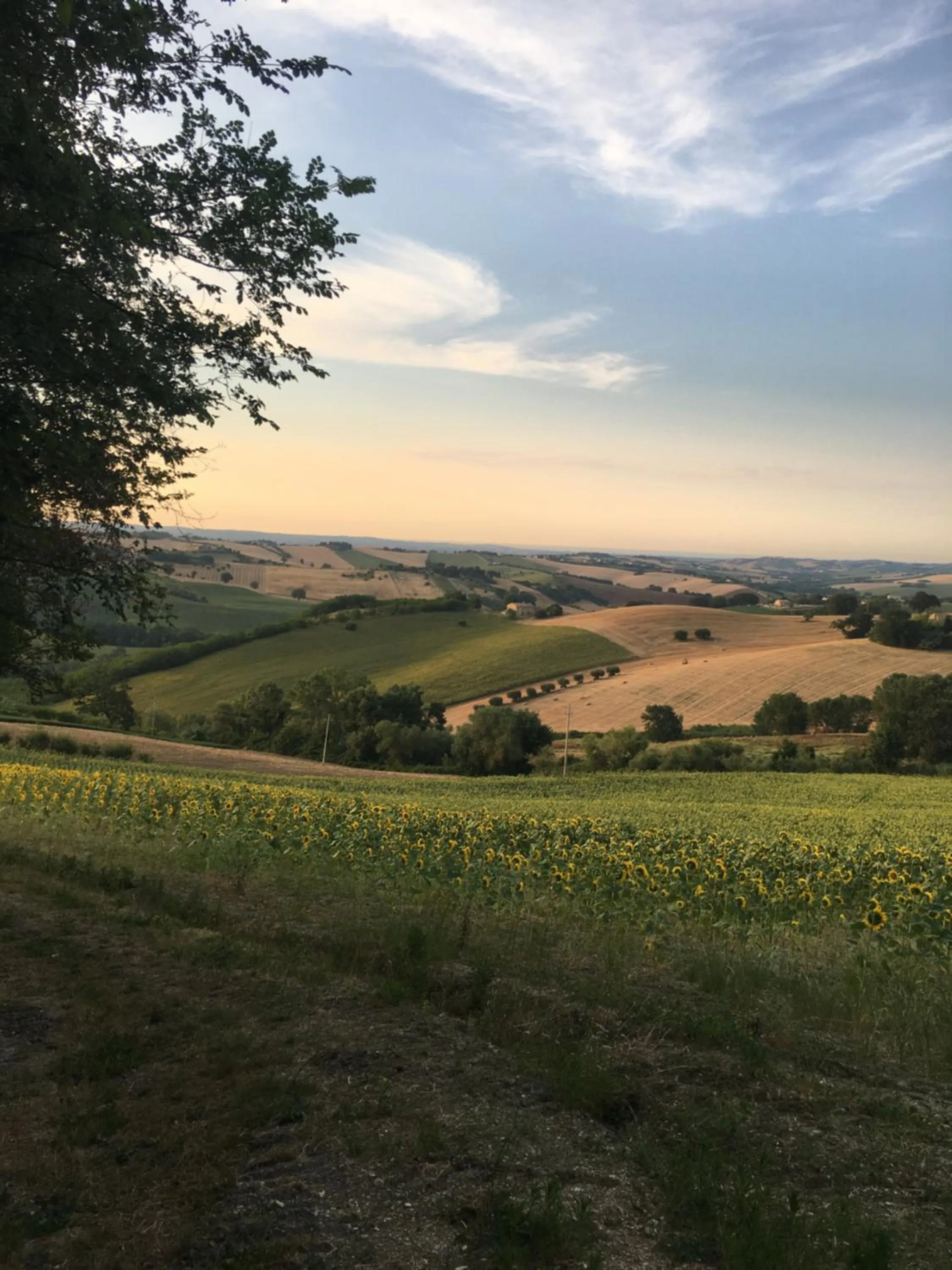 Natural landscape in Il Posto Perfetto